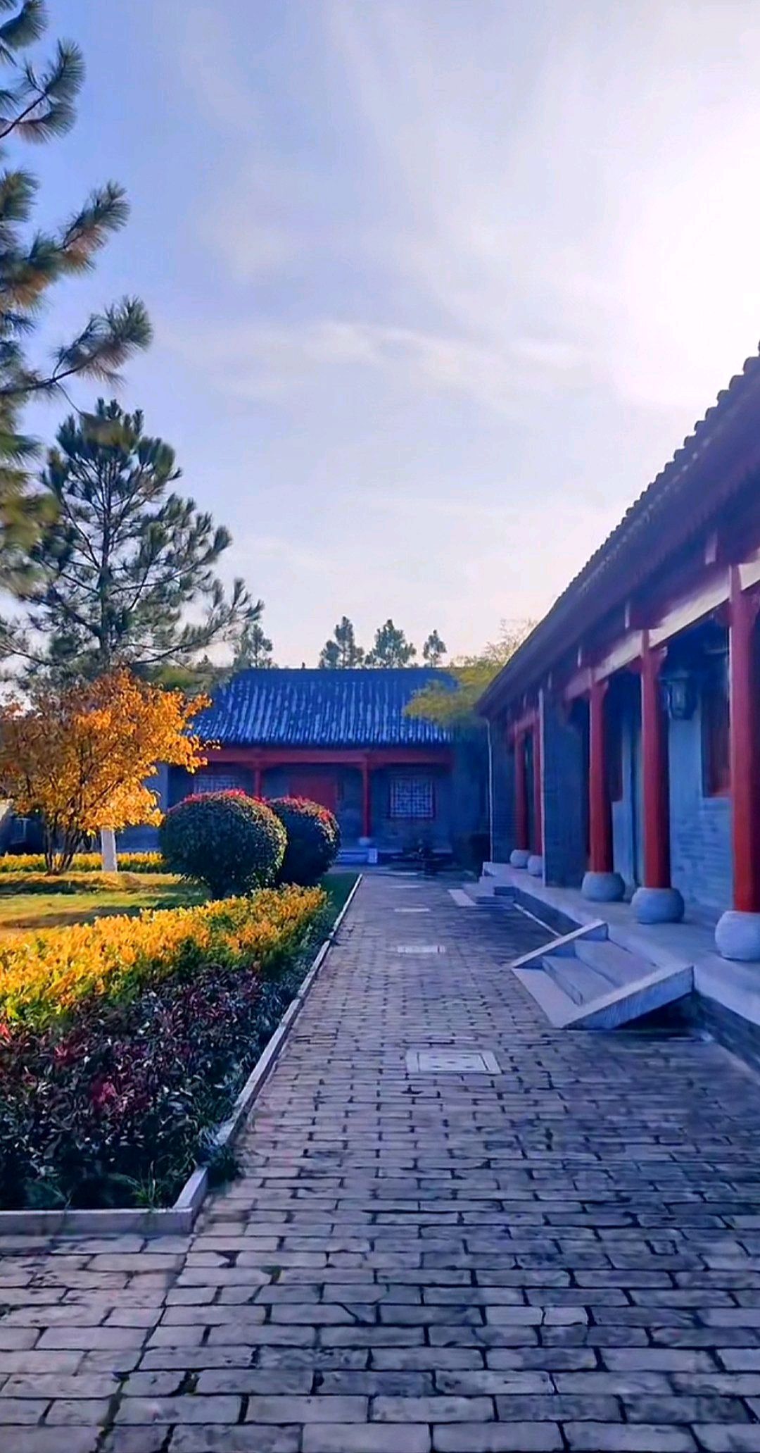 友兰湿地公园旅行图片 3