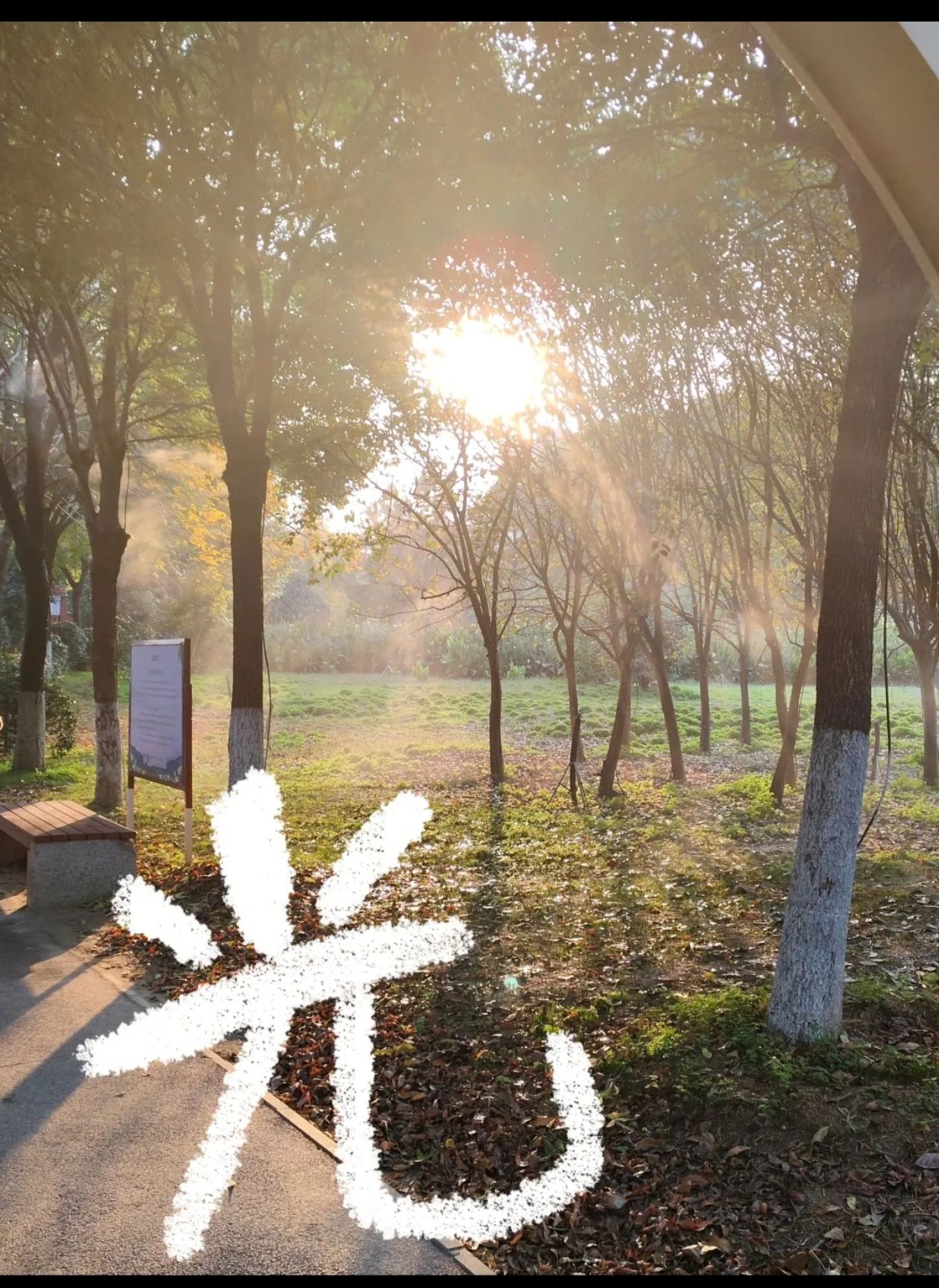 友兰湿地公园旅行图片 1