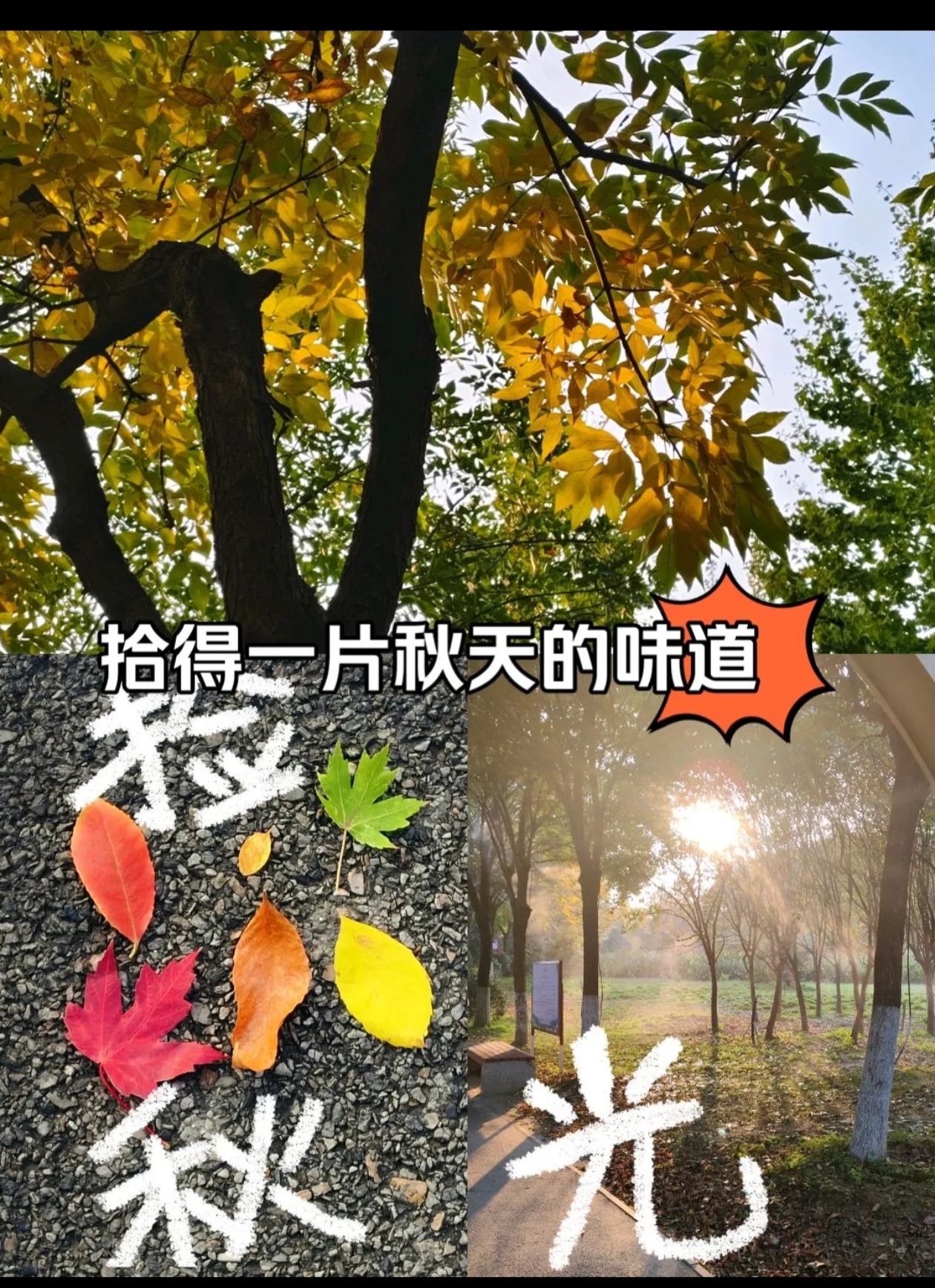 友兰湿地公园旅行图片 2