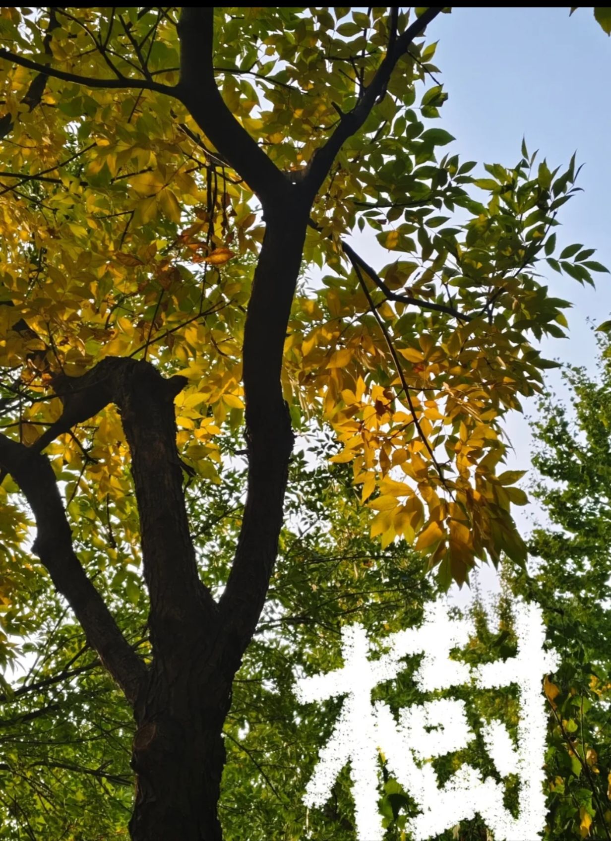 友兰湿地公园旅行图片 3