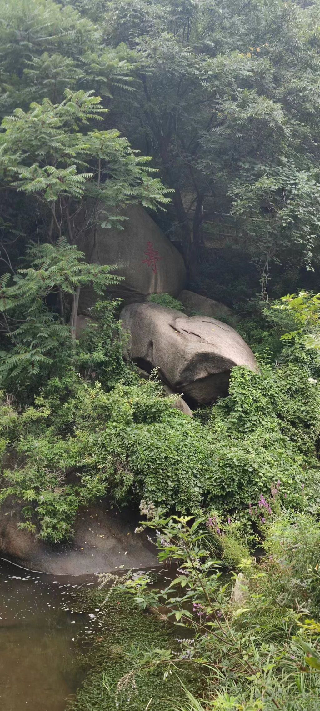 七十二潭景区旅行图片 1
