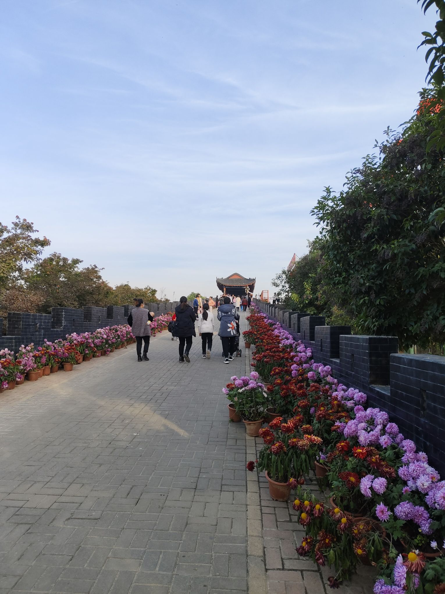 中国月季园旅行图片 3
