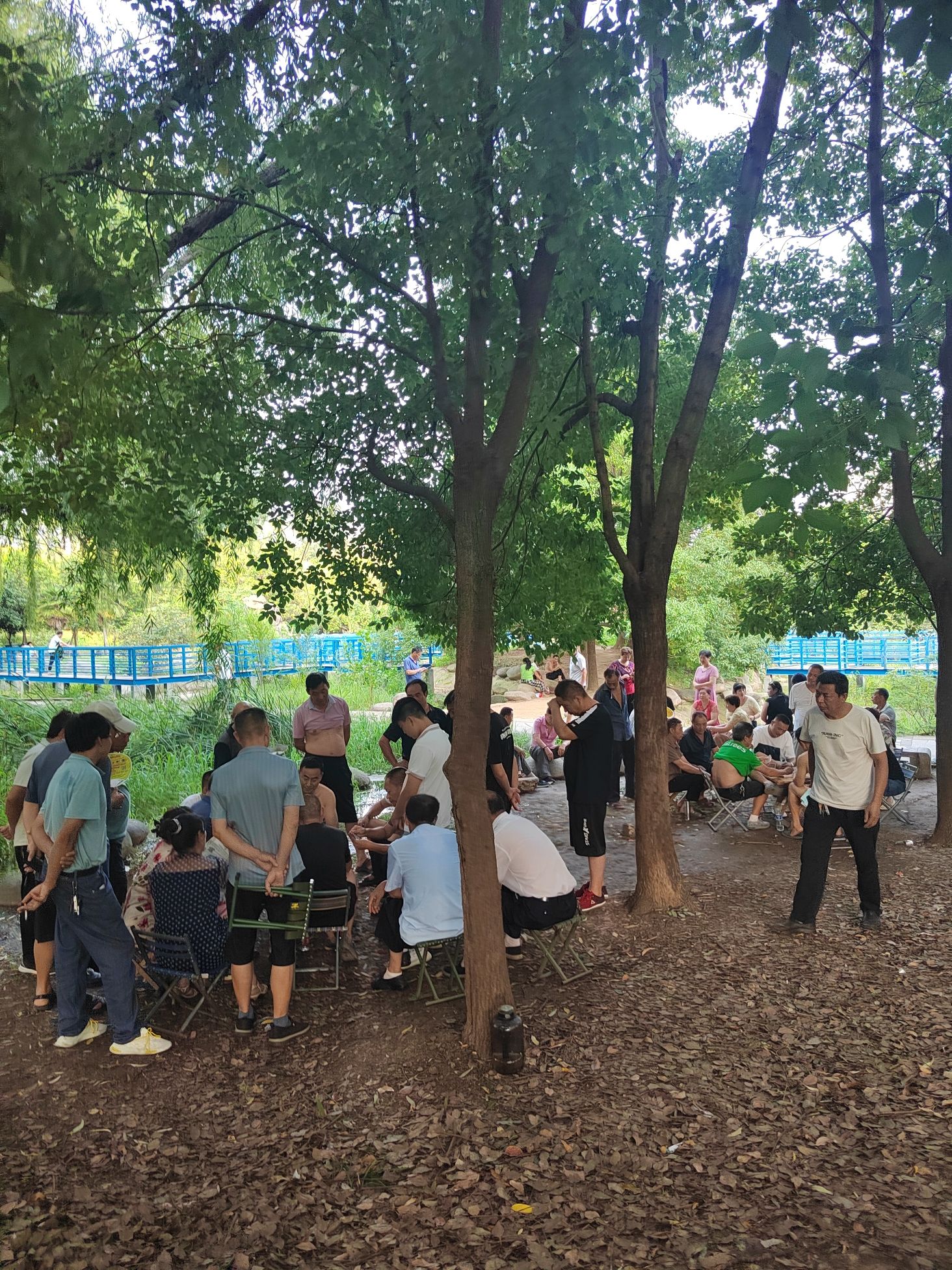 白羽公园旅行图片 2