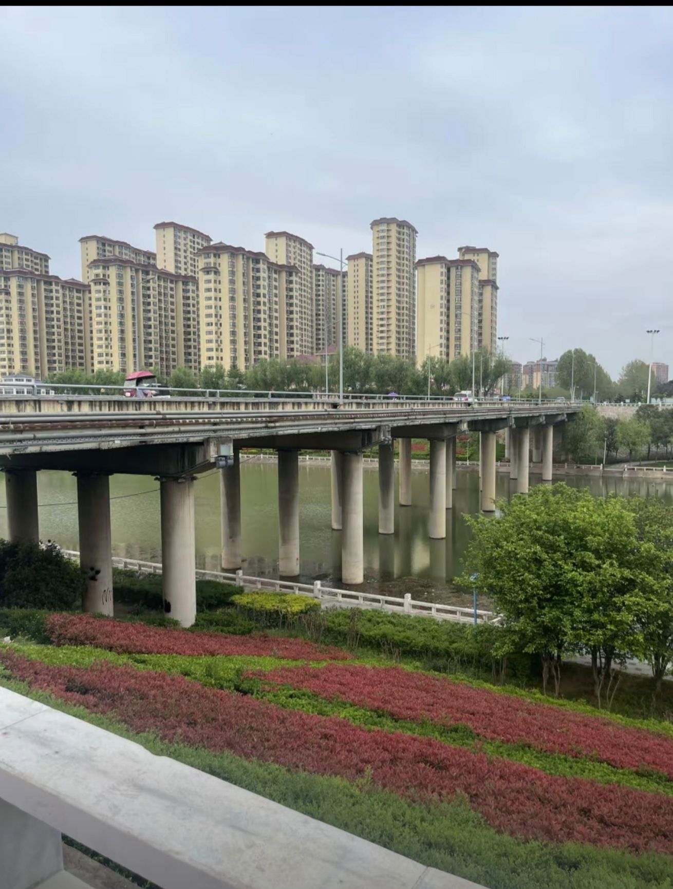 赵河公园旅行图片 3