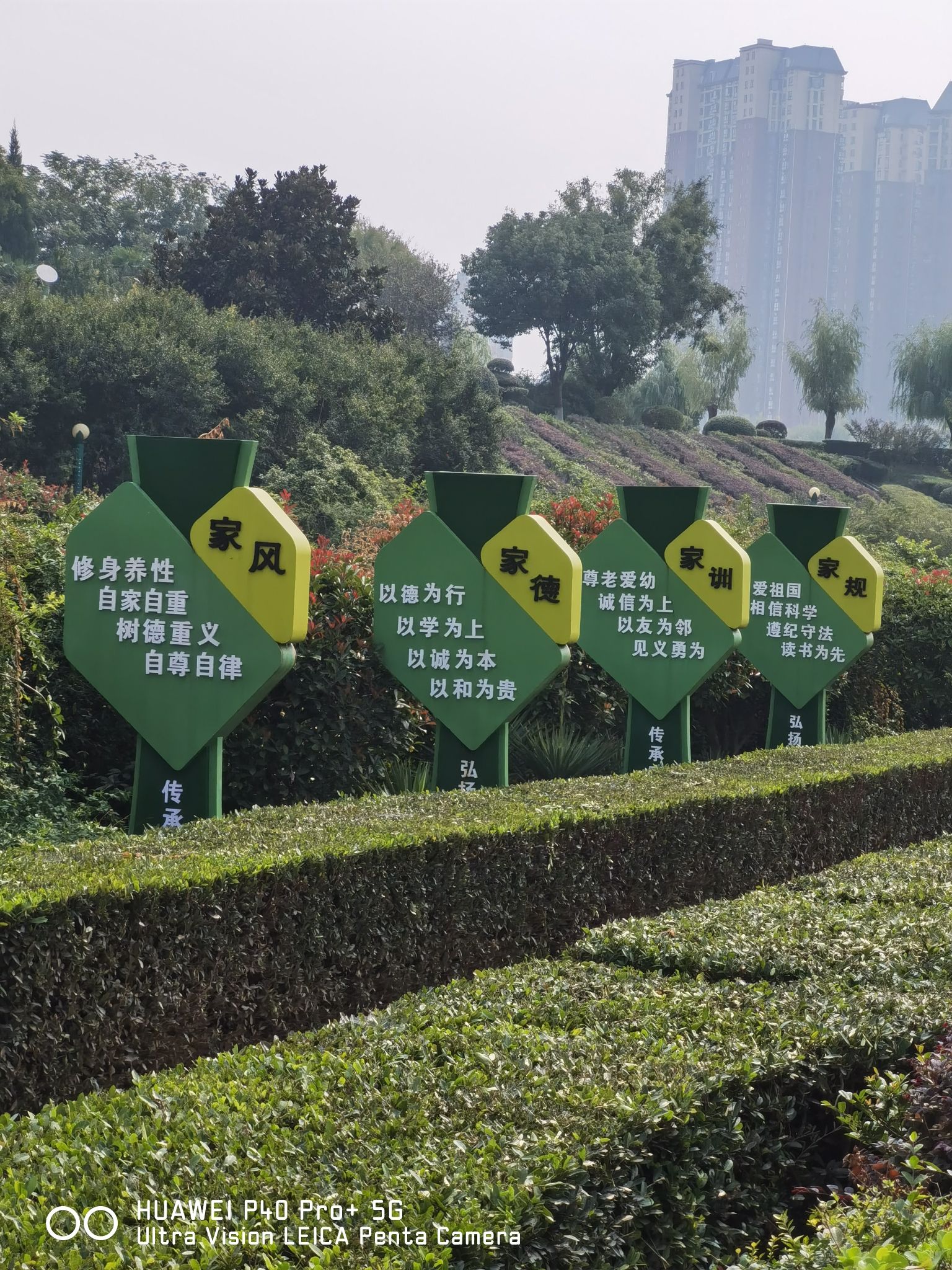 赵河公园旅行图片 2