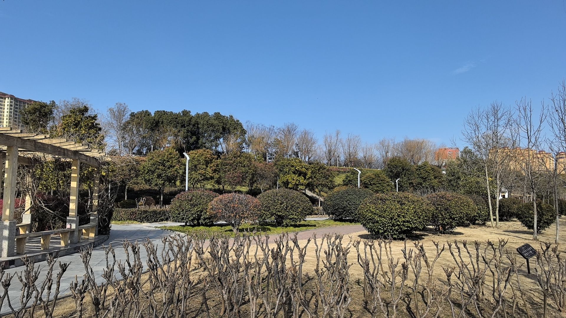 赵河公园旅行图片 2