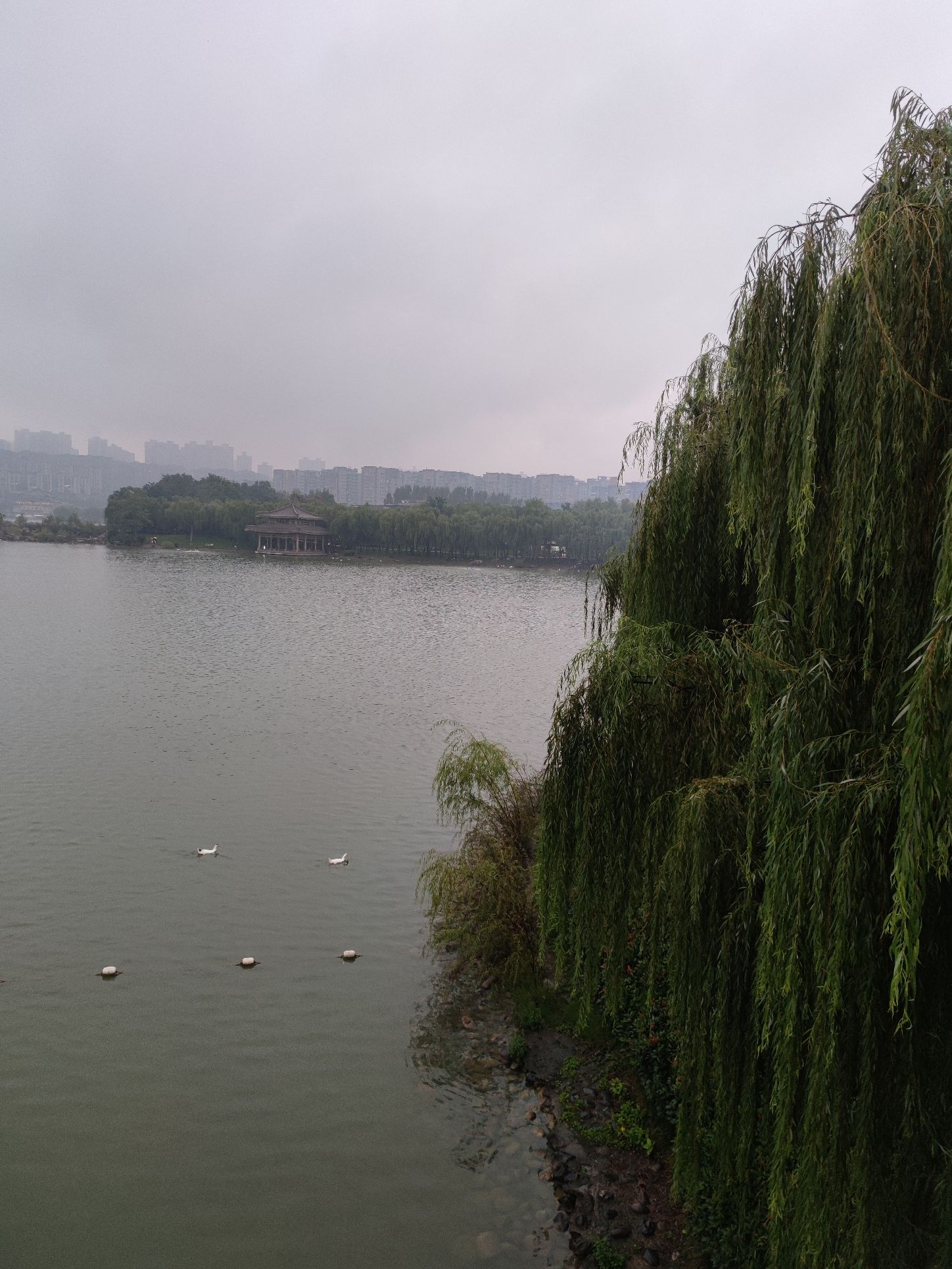 大曼山景区旅行图片 3