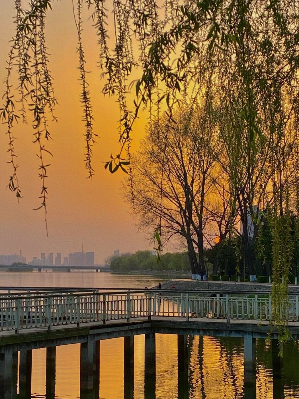 白河国家城市湿地公园旅行图片 3