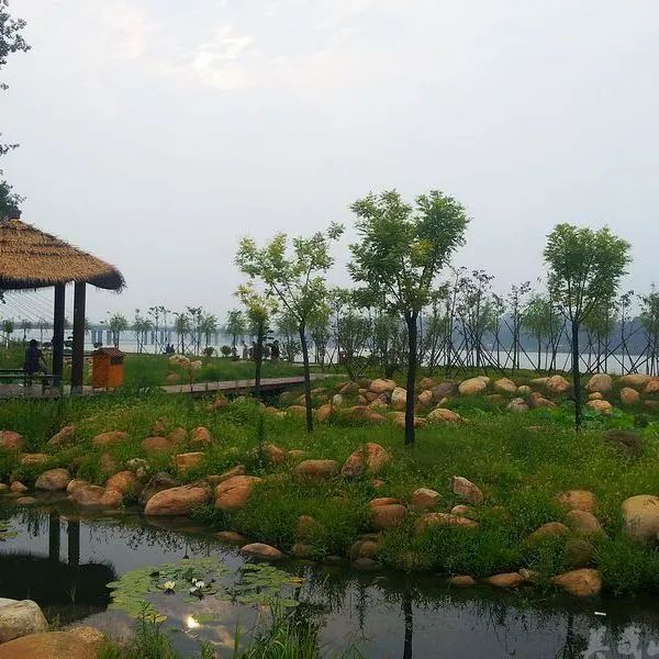 白河国家城市湿地公园旅行图片 2