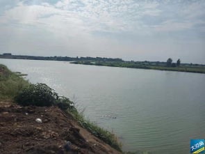 白河国家城市湿地公园旅行图片 1