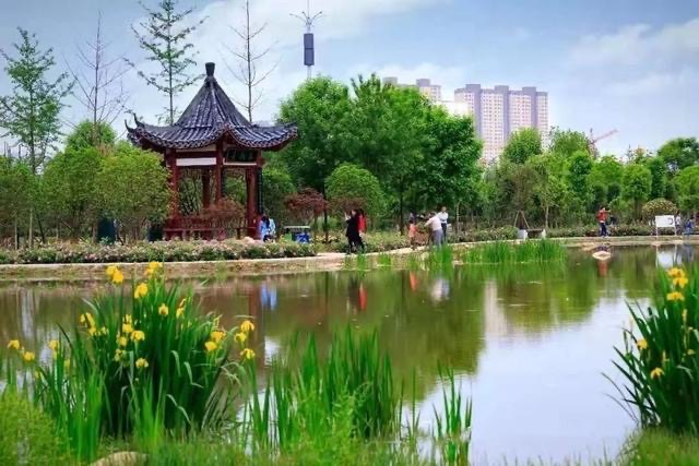 白河国家城市湿地公园旅行图片 2