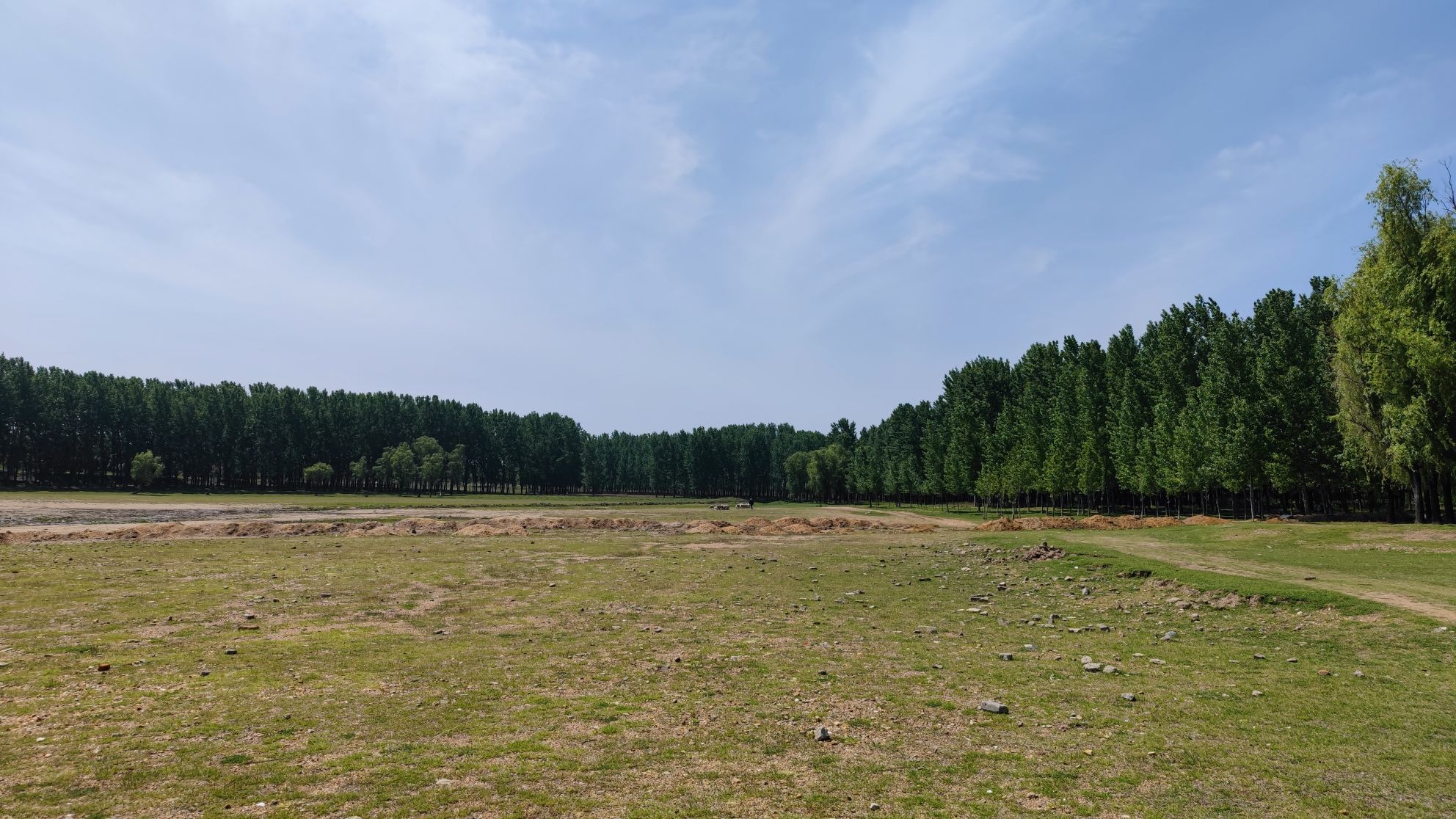 望花湖风景区旅行图片 3