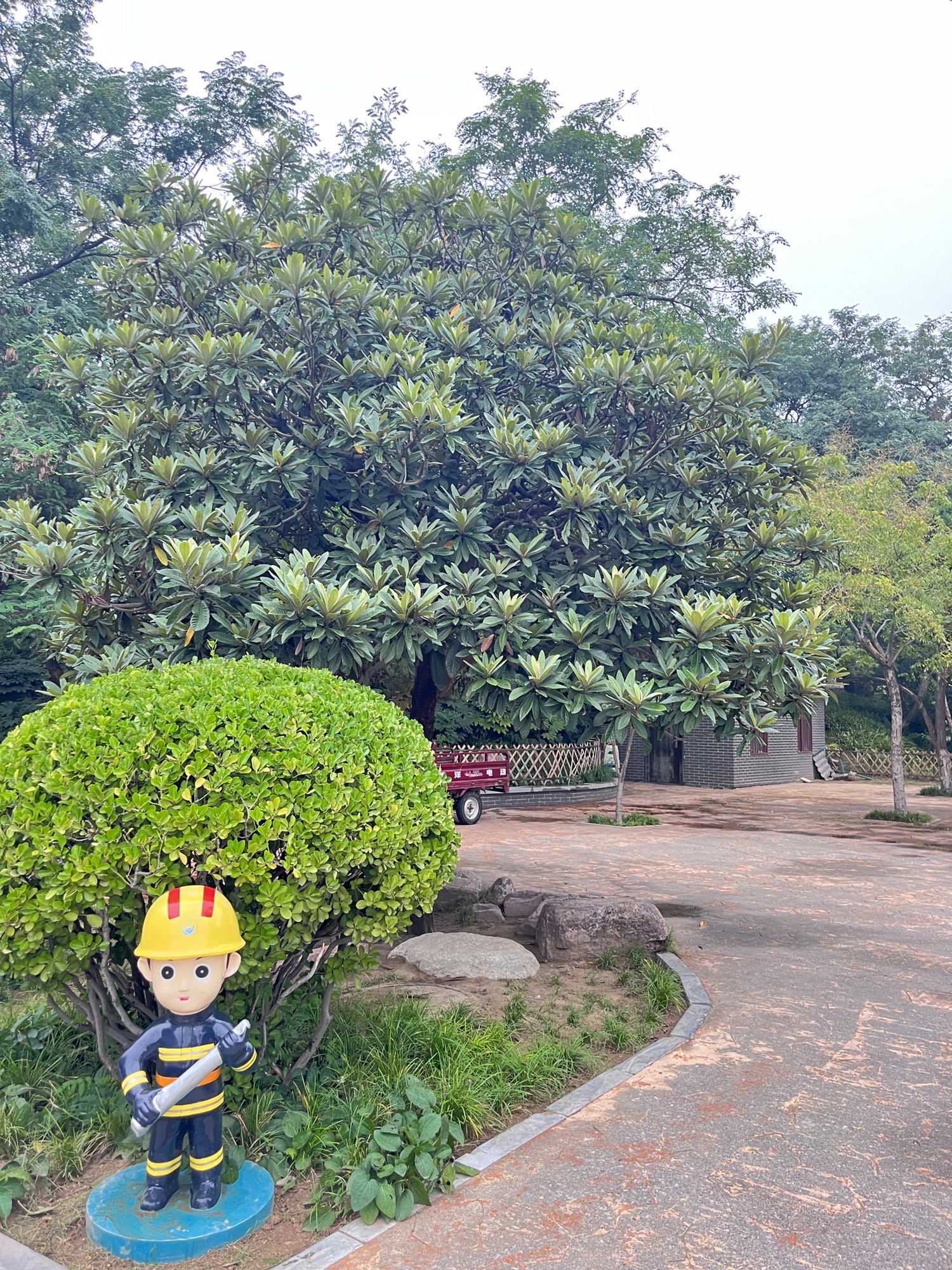 汴京公园旅行图片 1