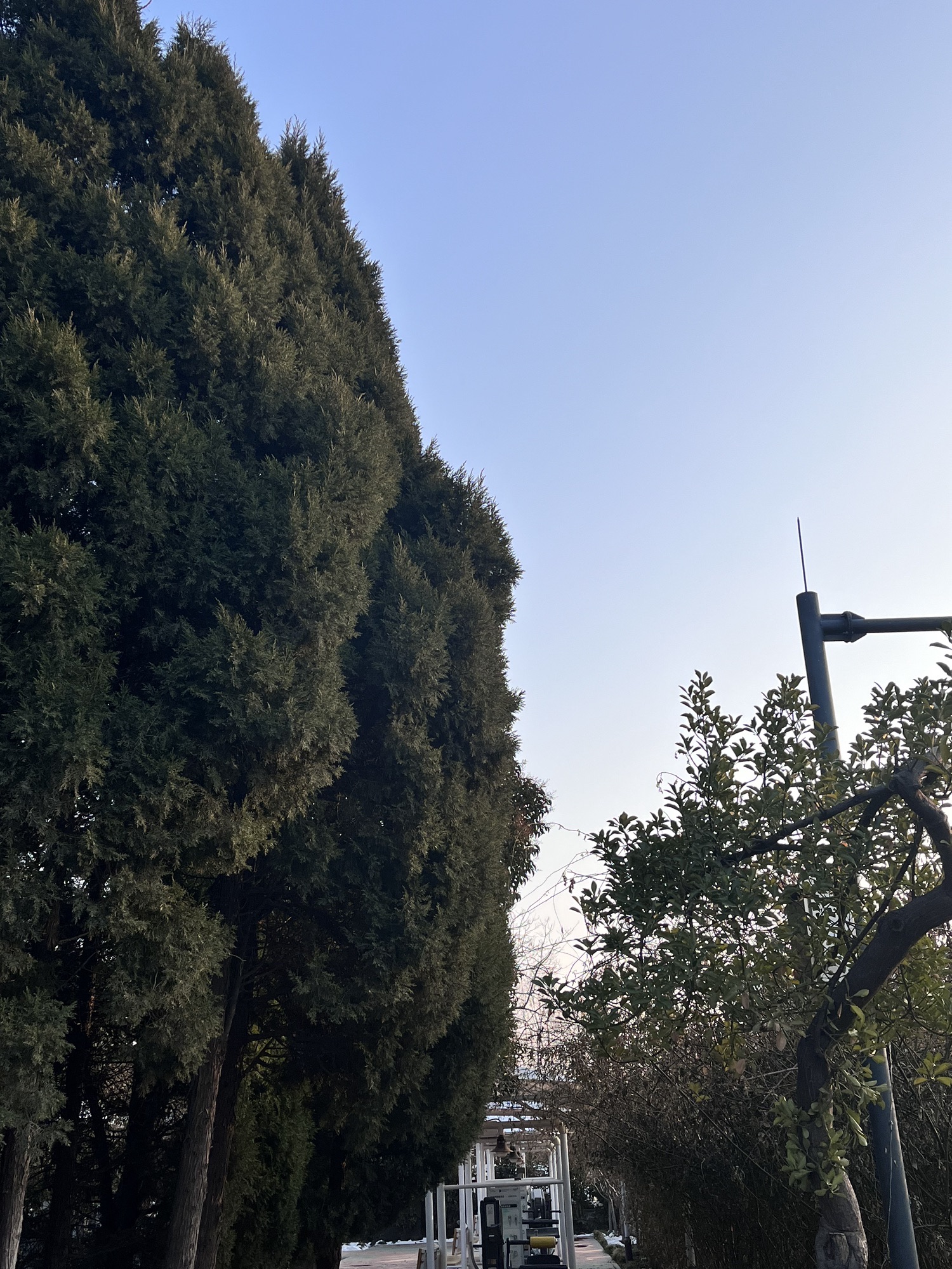 汴京公园旅行图片 2