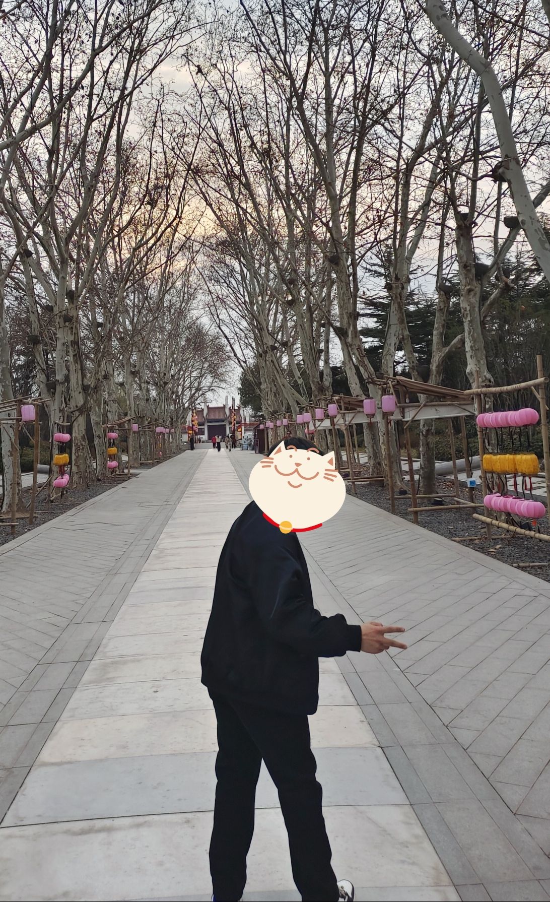 铁塔景区旅行图片 1
