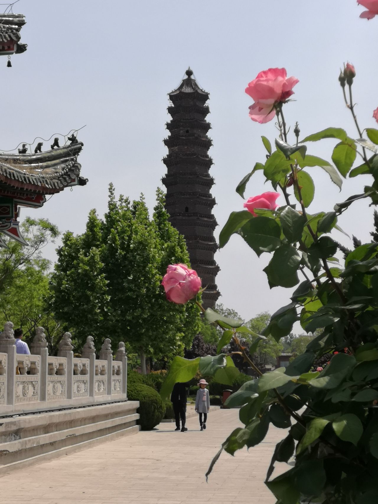 铁塔景区旅行图片 1