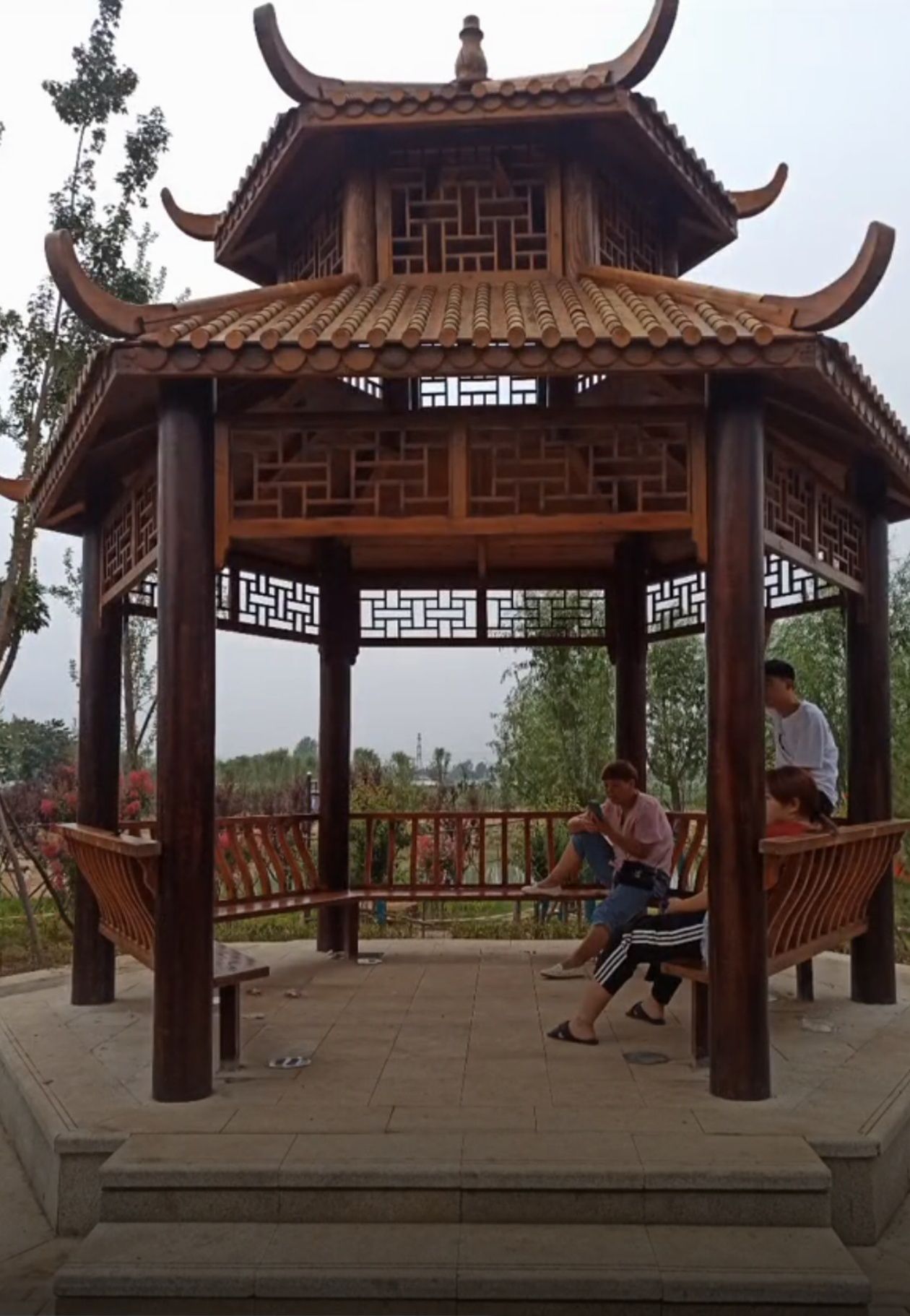 青年湖公园旅行图片 2