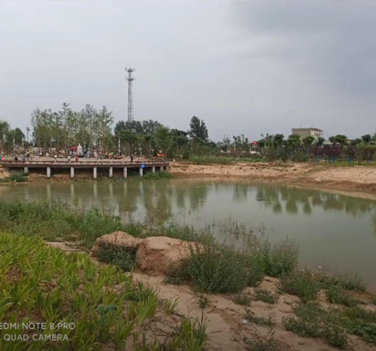 青年湖公园旅行图片 3