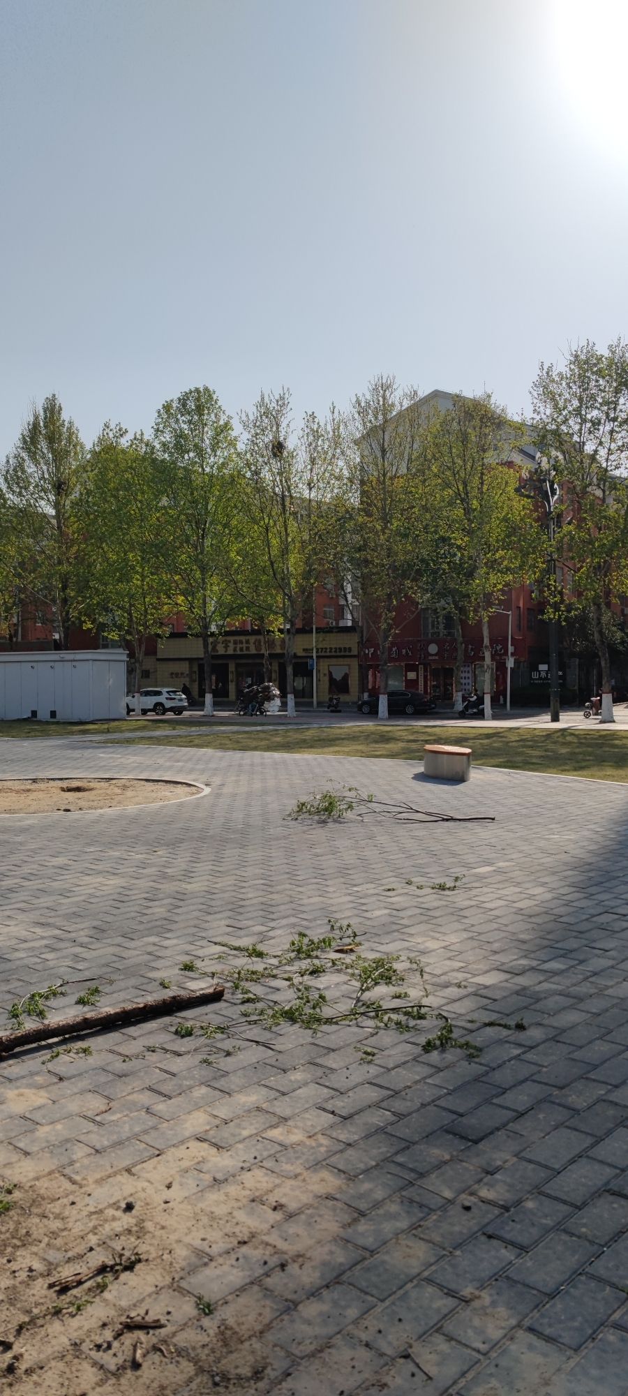 世纪公园旅行图片 3
