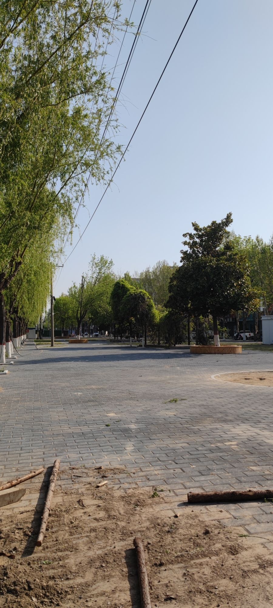 世纪公园旅行图片 2