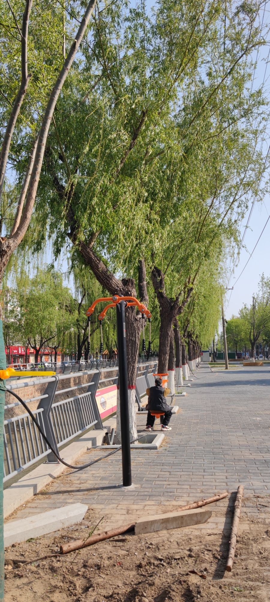 世纪公园旅行图片 1