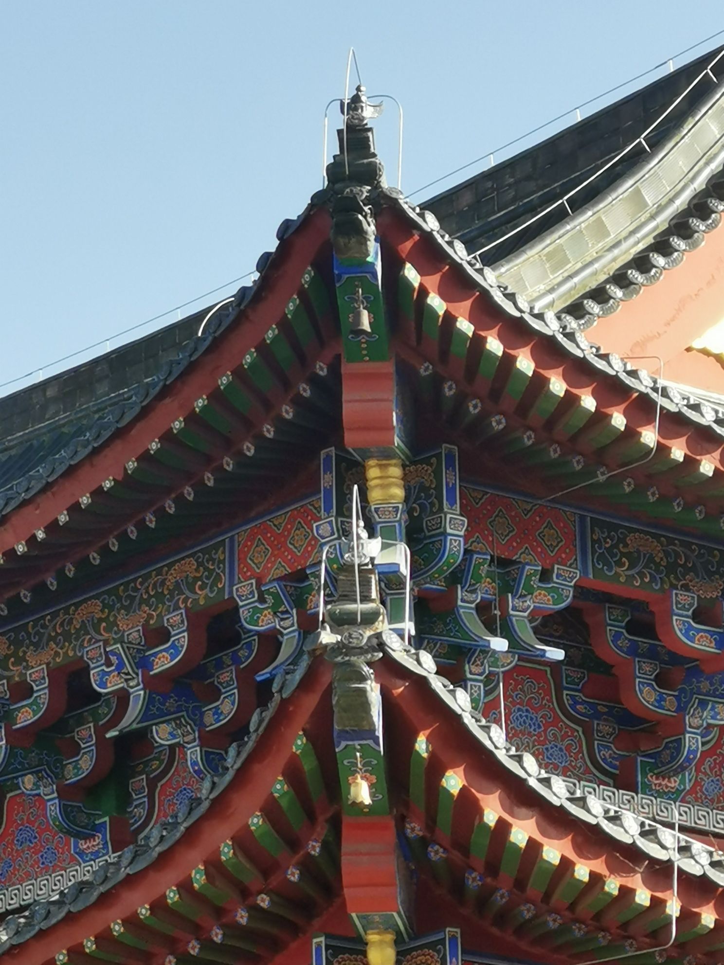 开封国家森林公园旅行图片 1