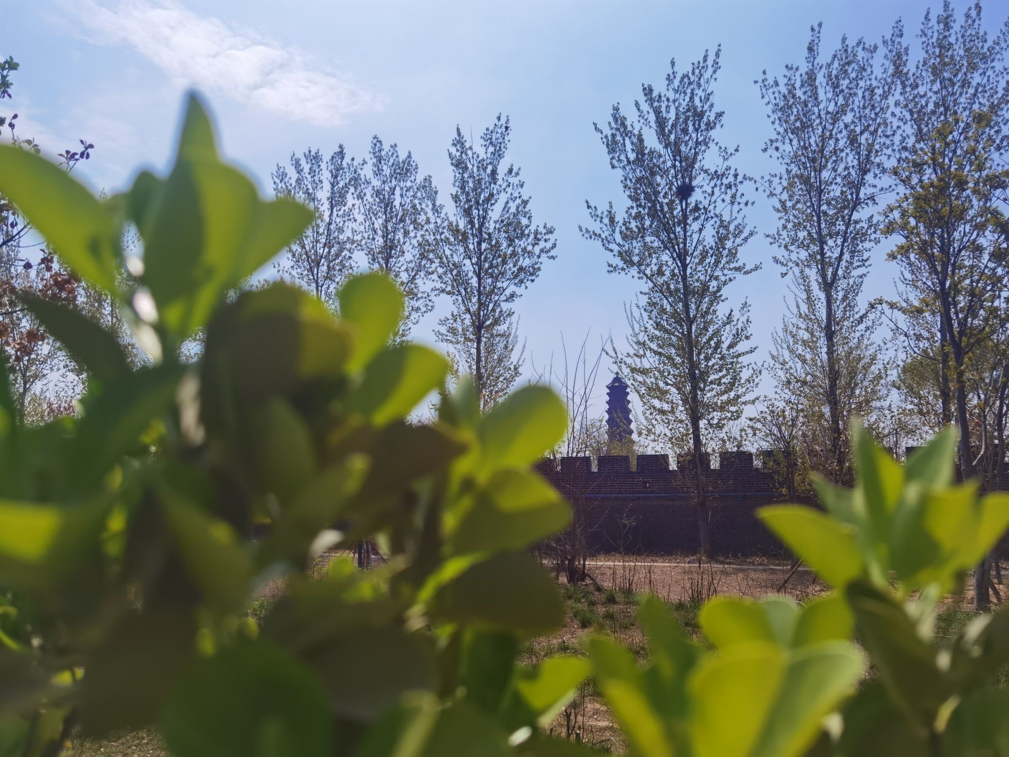 开封国家森林公园旅行图片 1