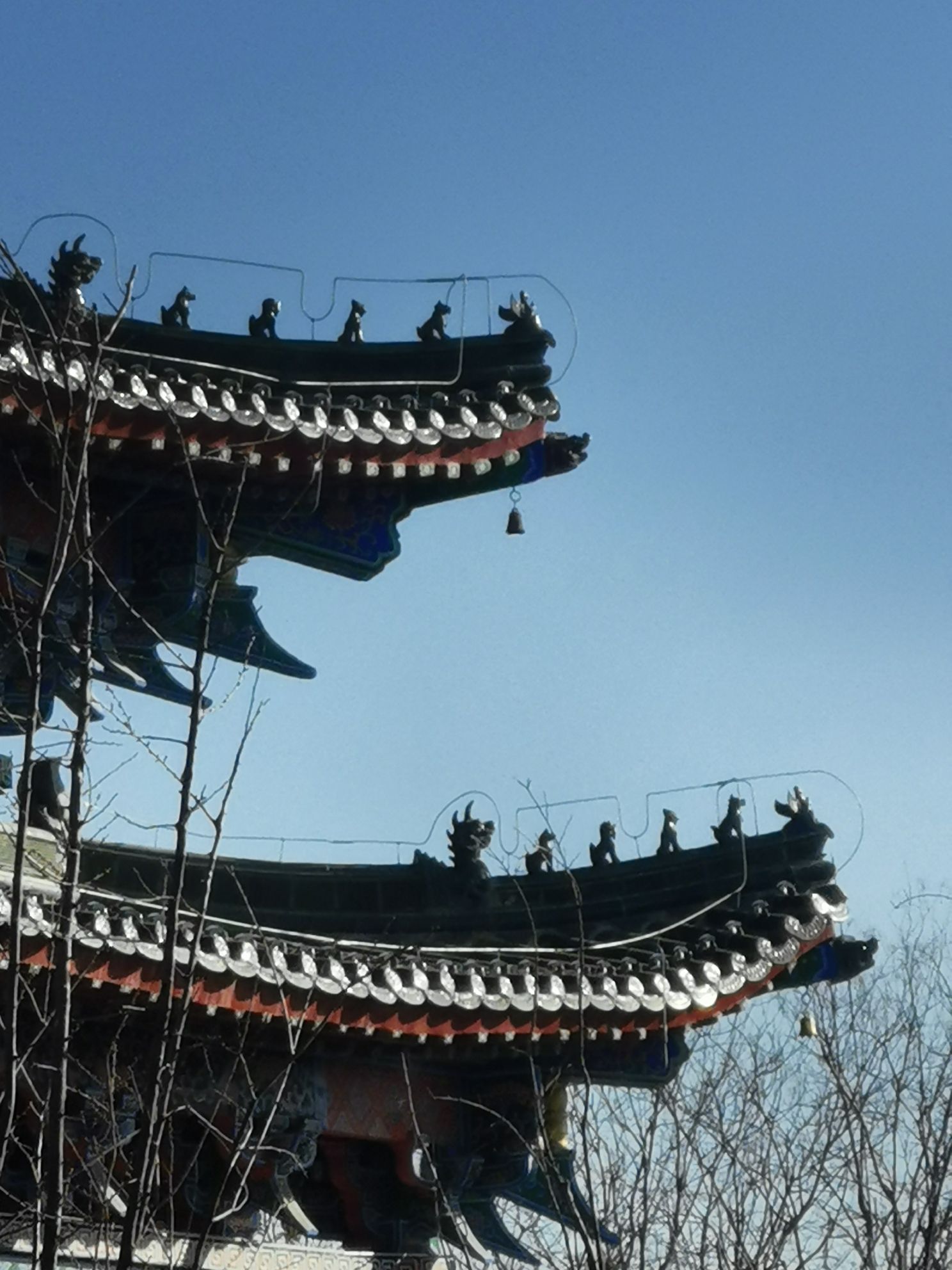 开封国家森林公园旅行图片 2