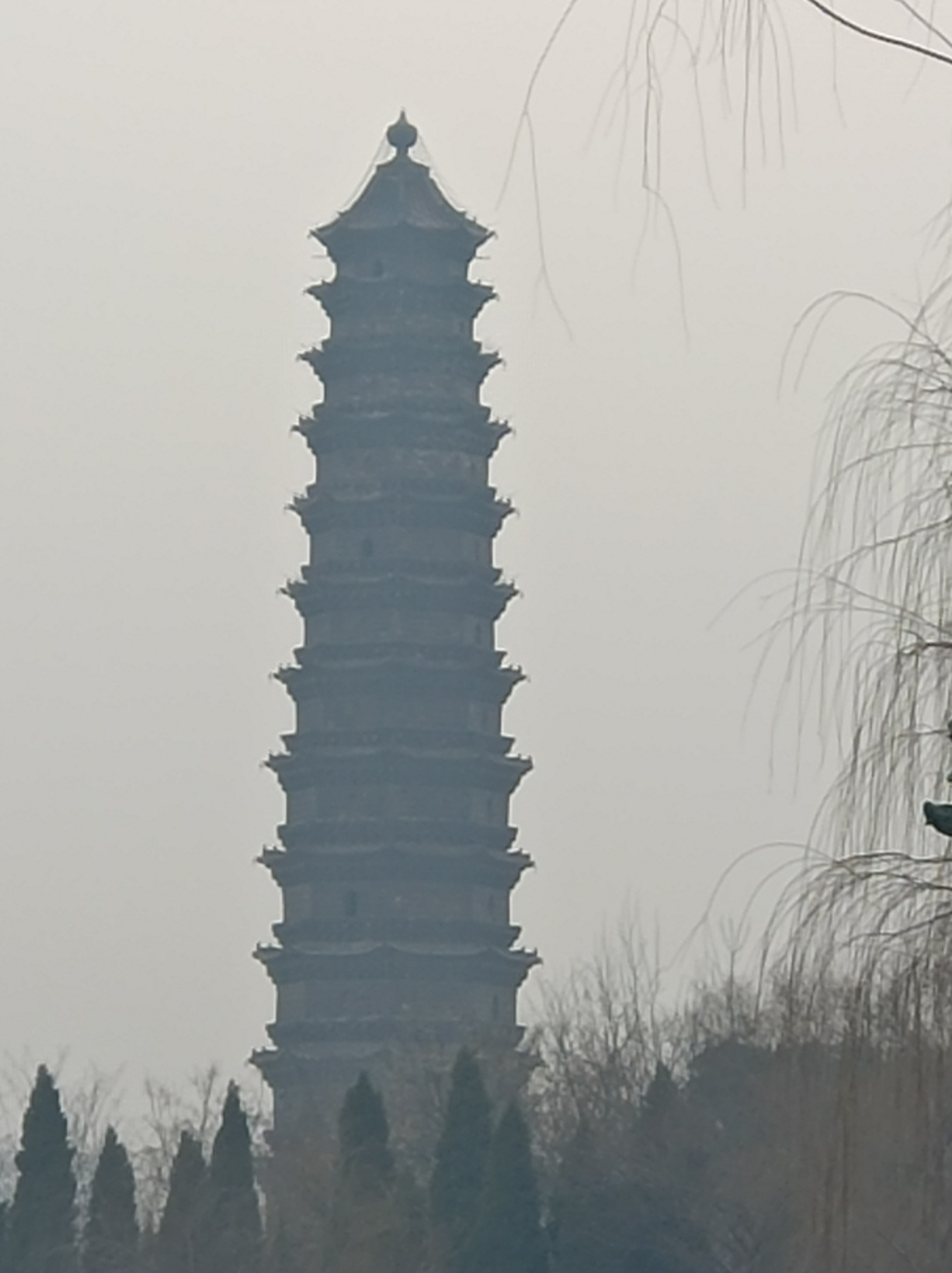 开封国家森林公园旅行图片 1