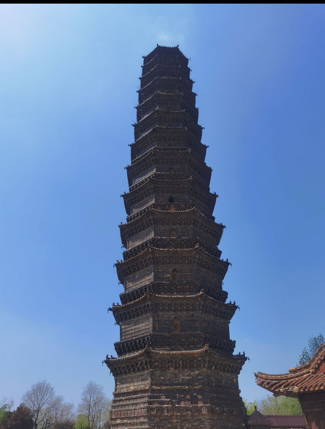 开封国家森林公园旅行图片 1