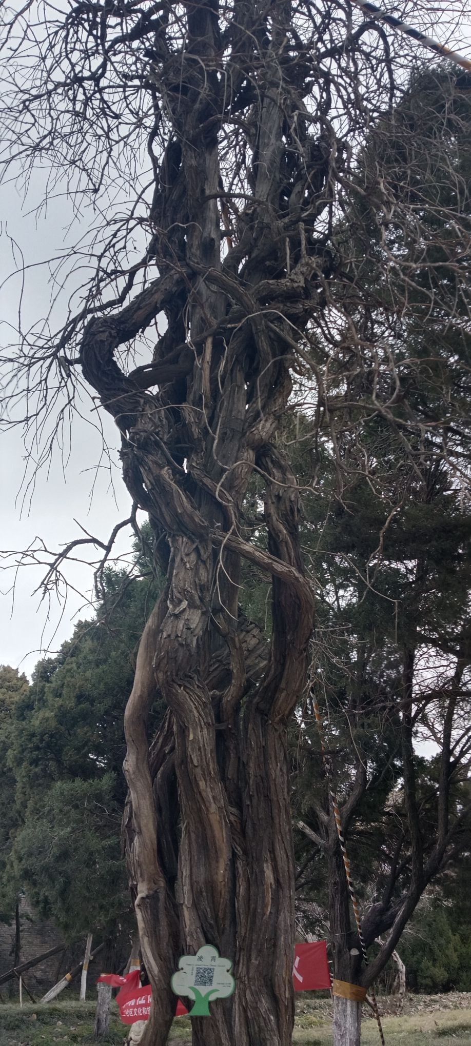 禹王台公园旅行图片 3