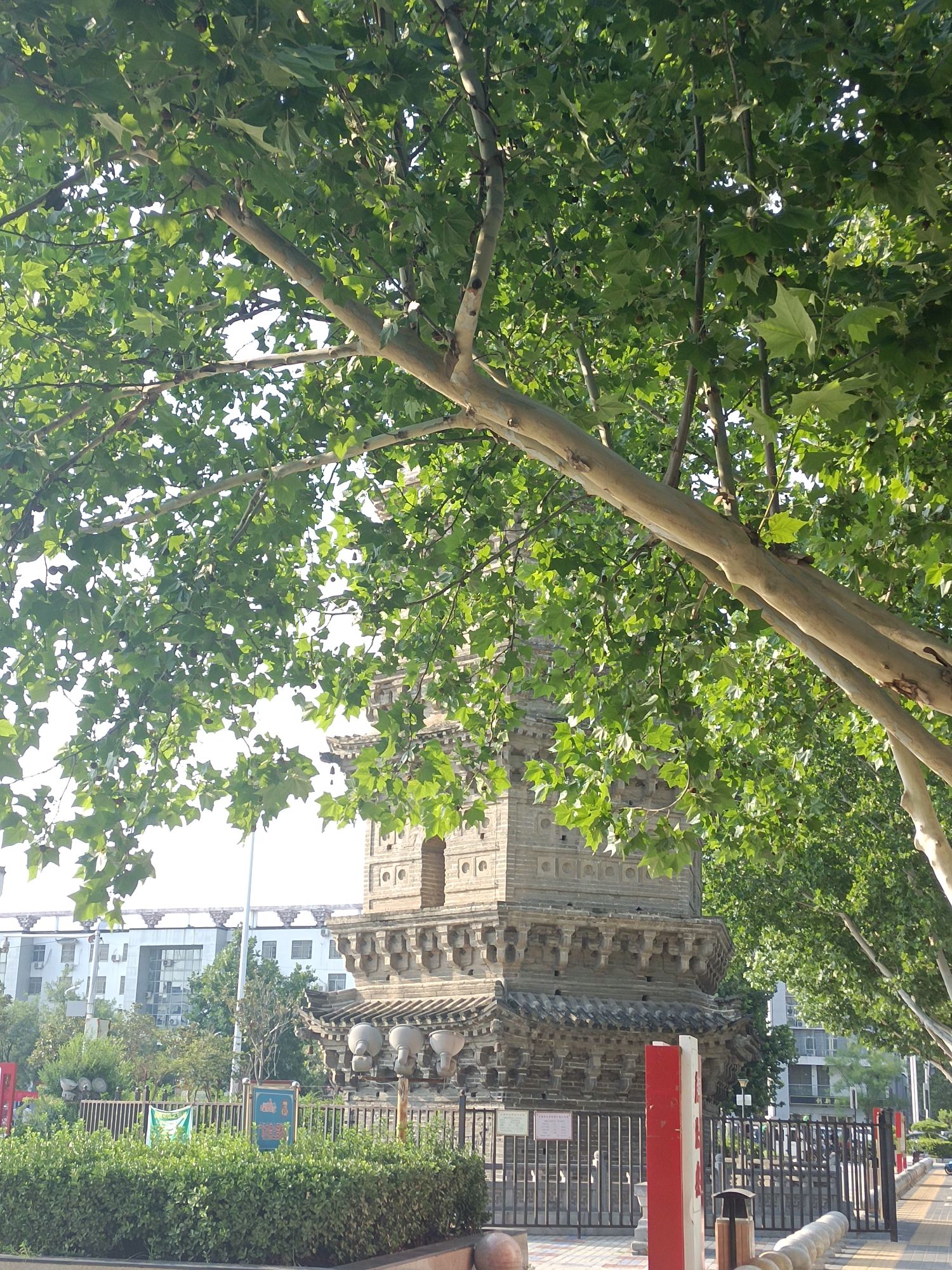 尉氏兴国寺塔旅行图片 1