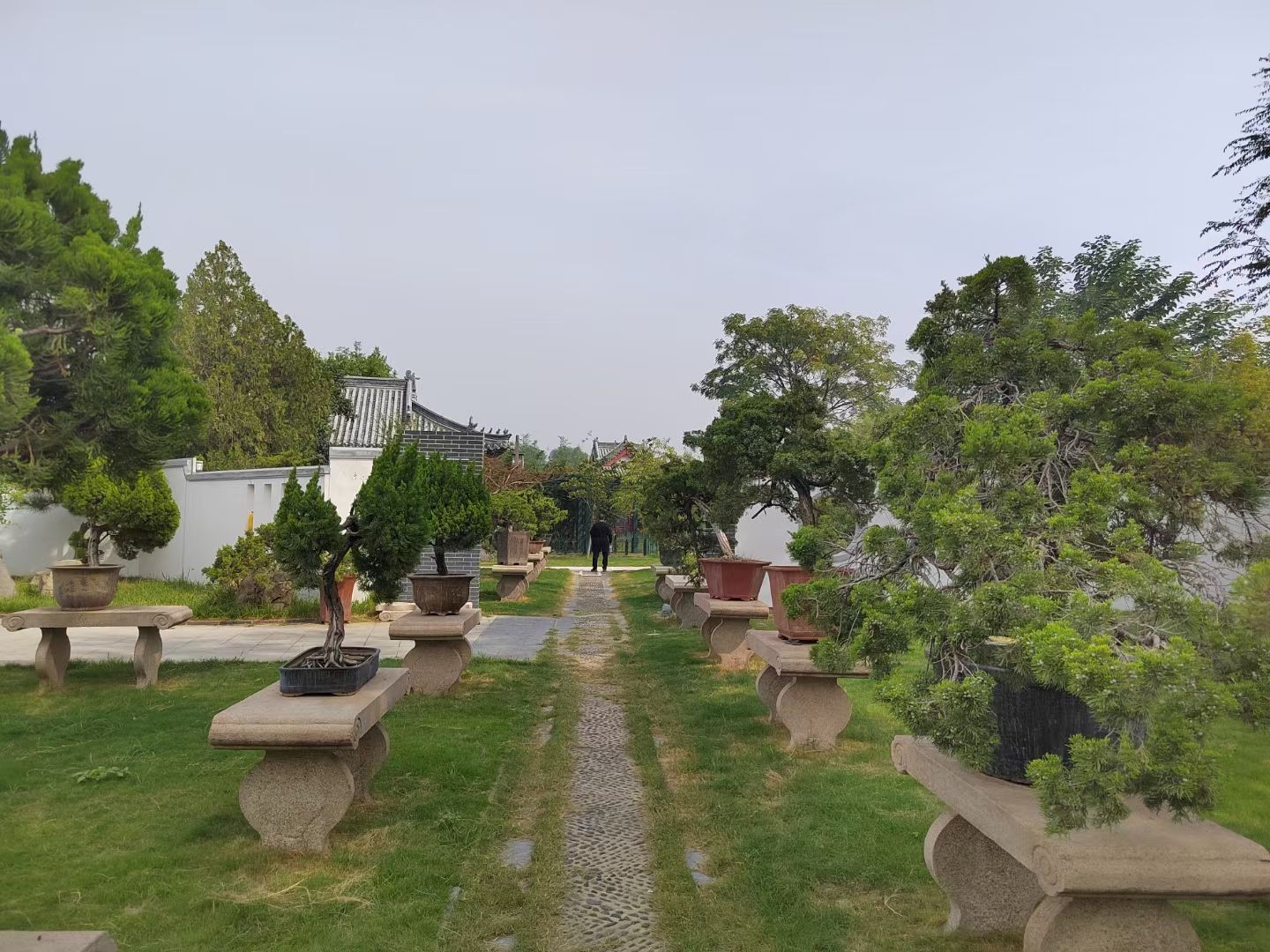 千载古塔旅行图片 3