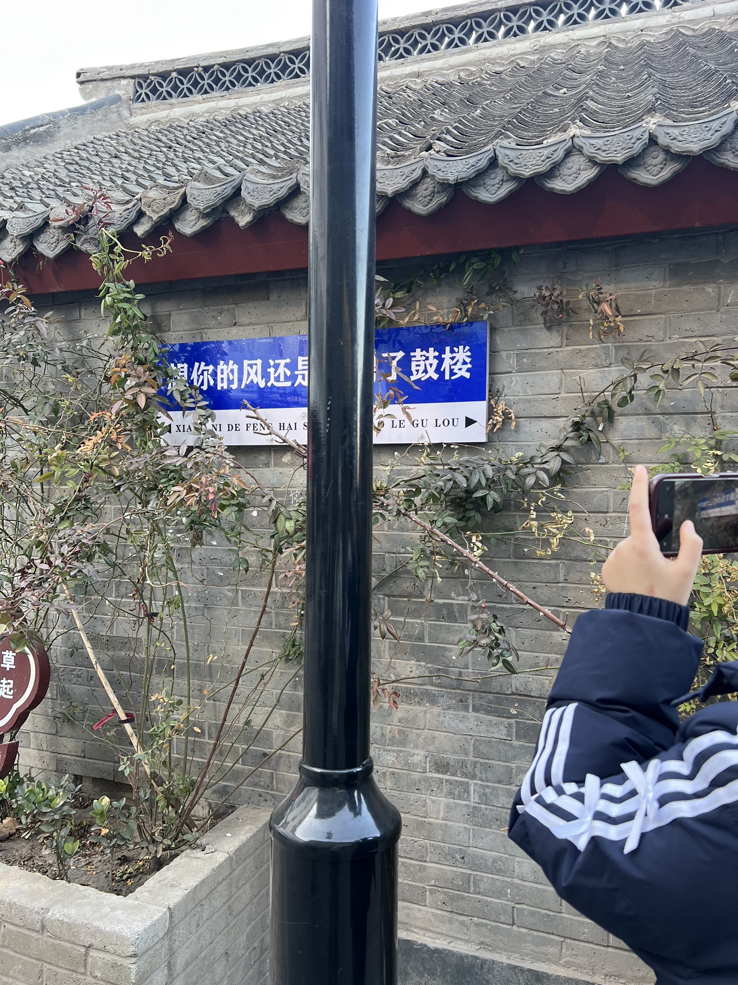 新门旅行图片 3