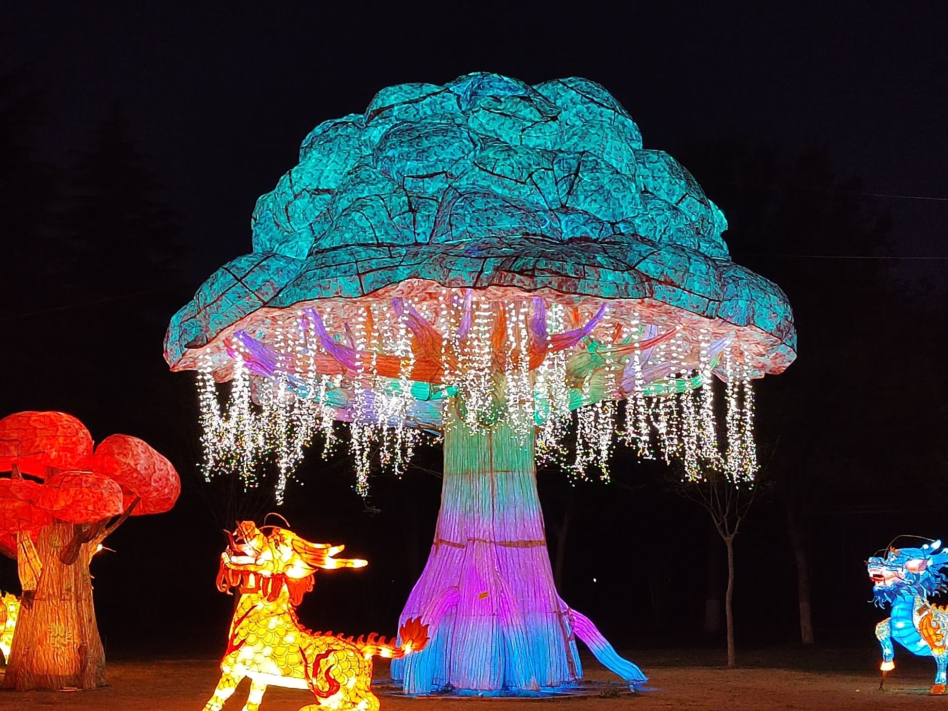 神州牡丹园旅行图片 1