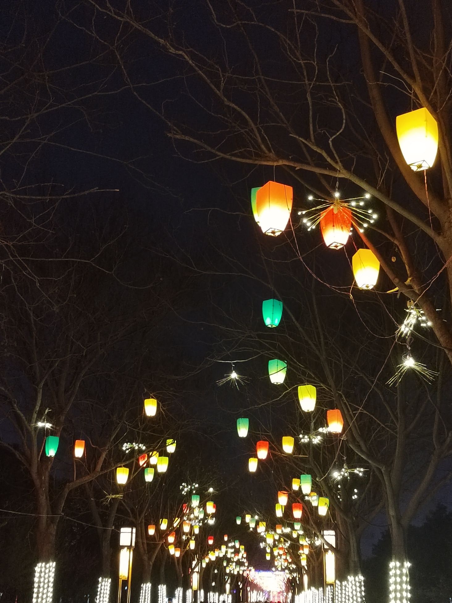 神州牡丹园旅行图片 2
