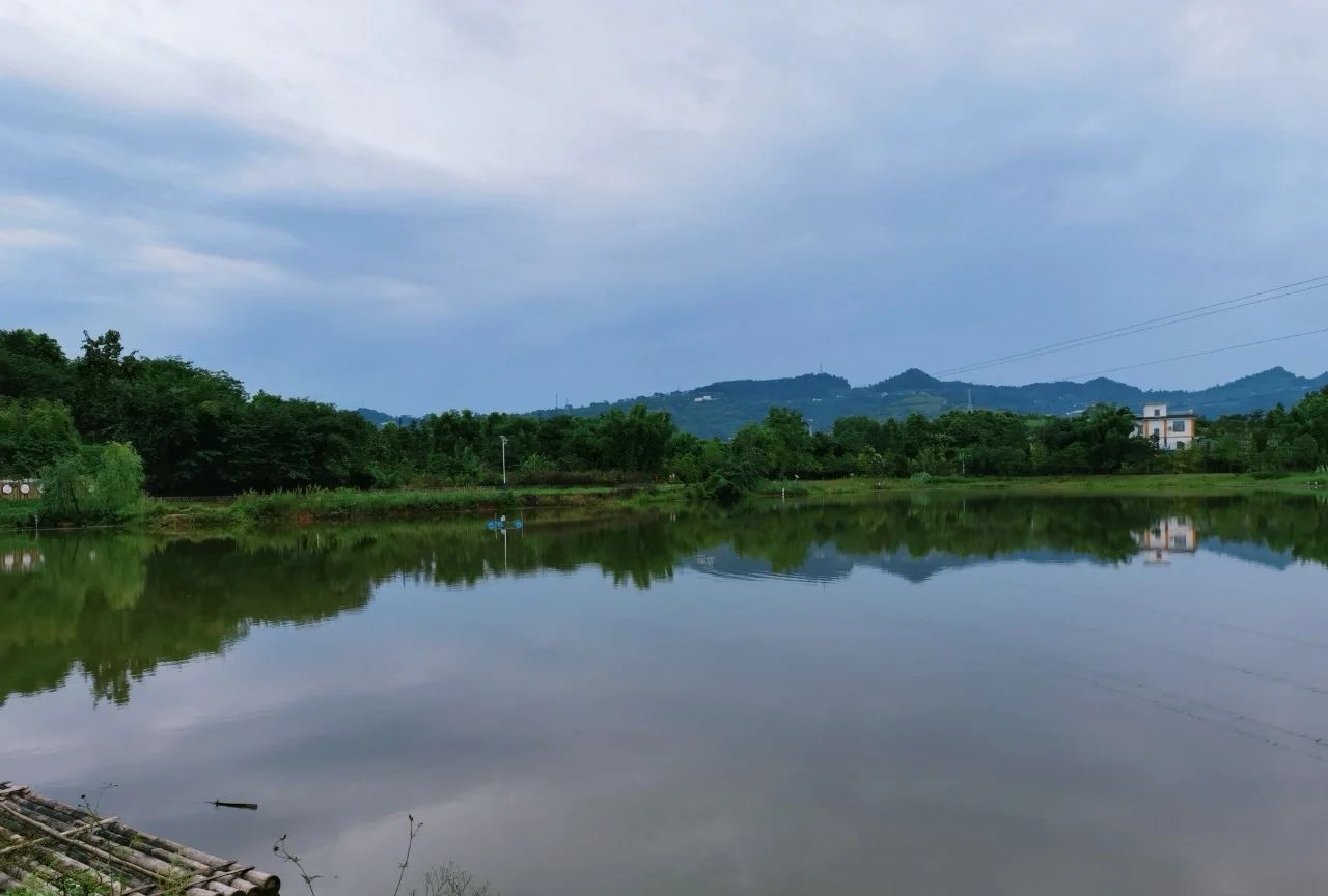 龙泉山公园旅行图片 1