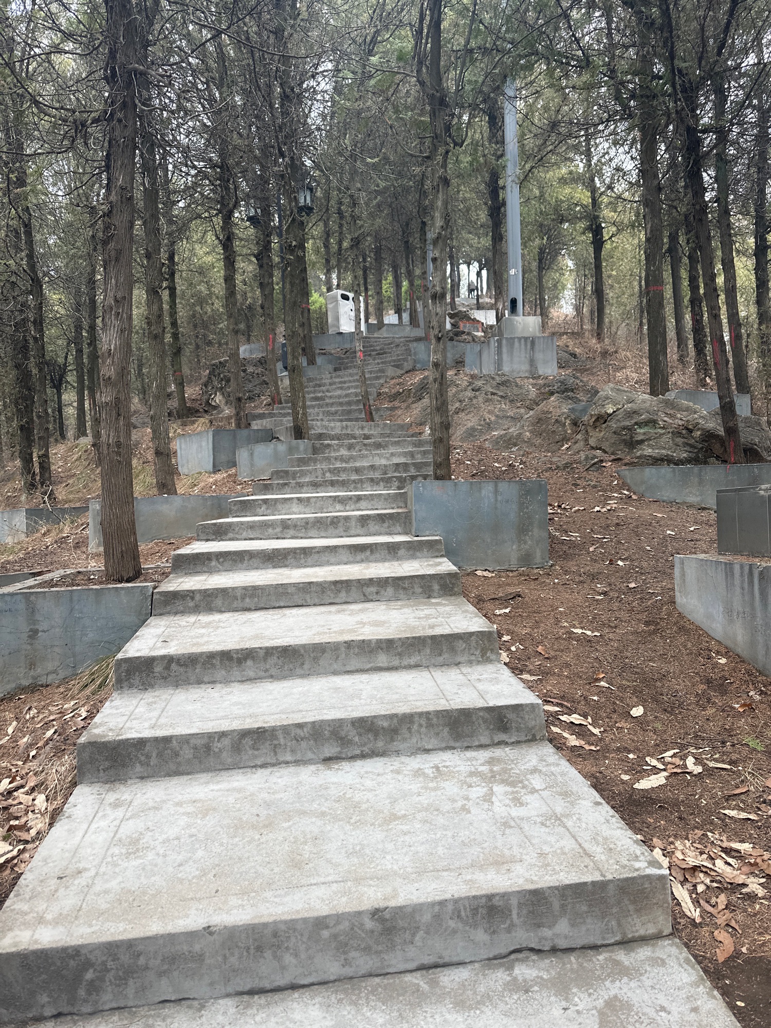 龙泉山公园旅行图片 2