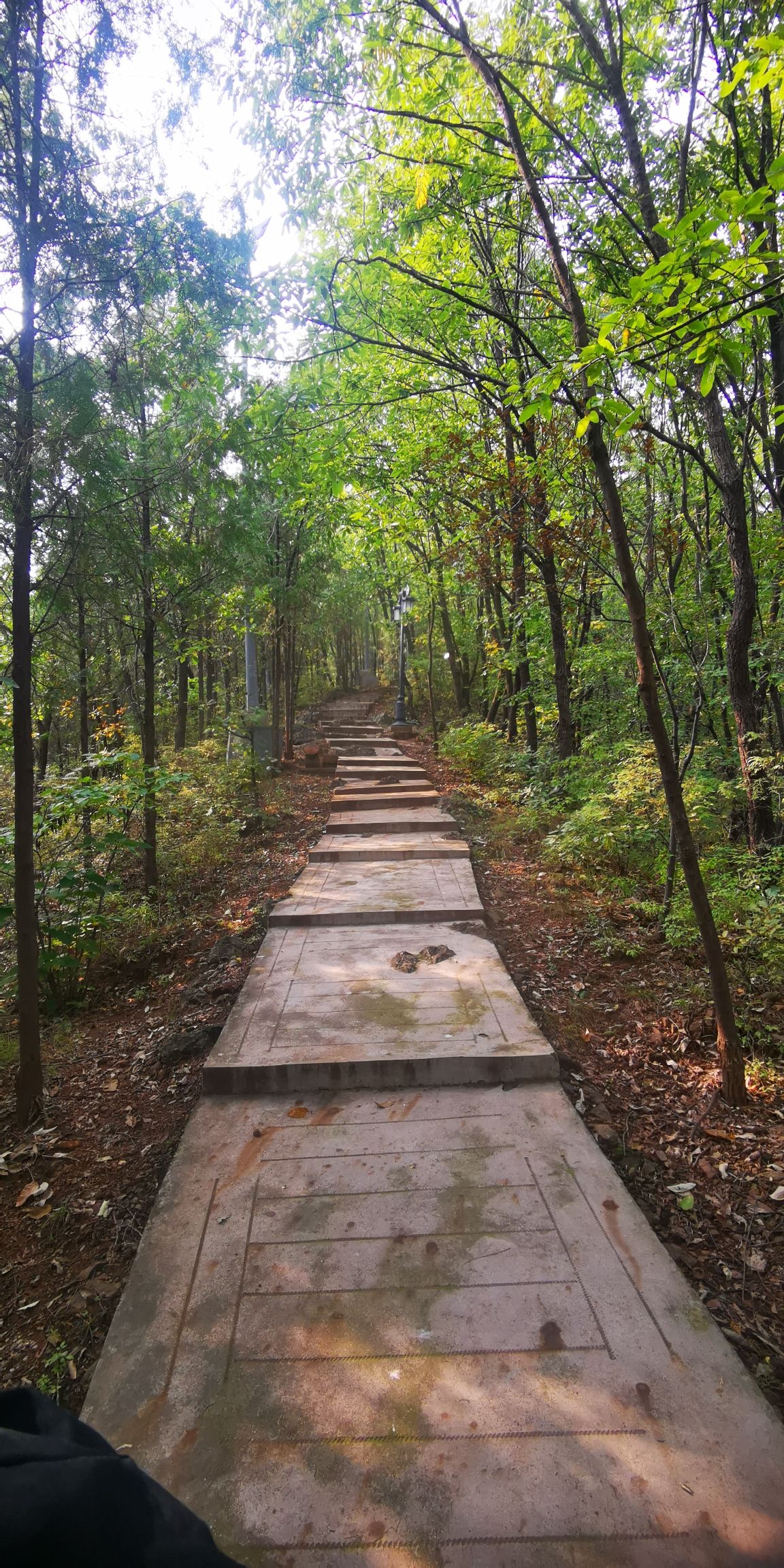 龙泉山公园旅行图片 3