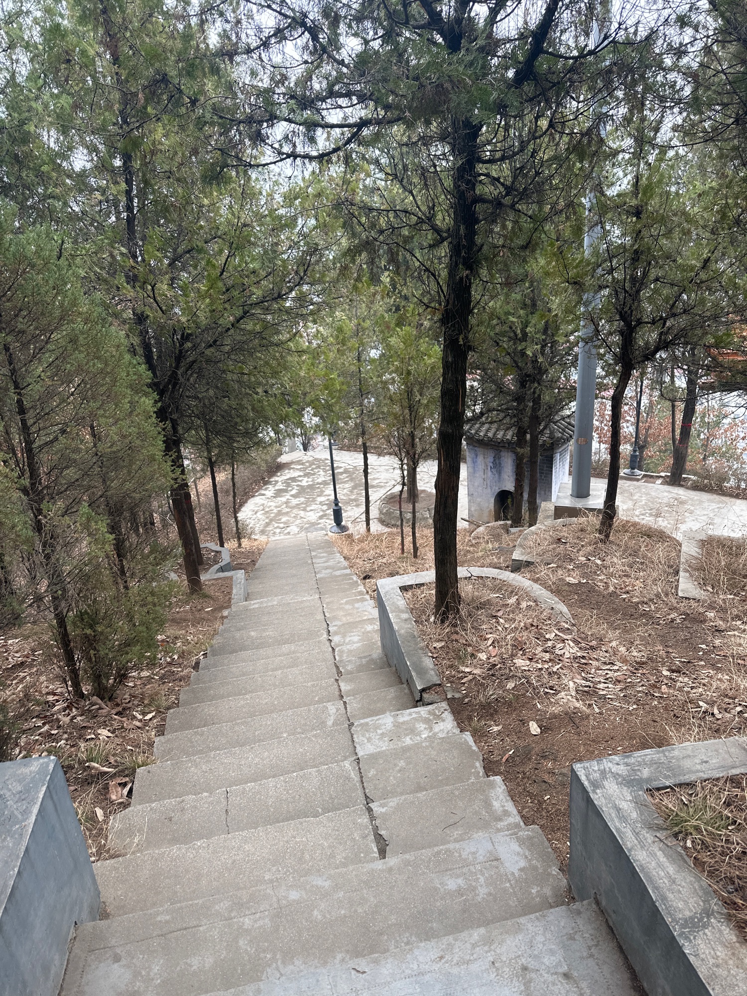 龙泉山公园旅行图片 1