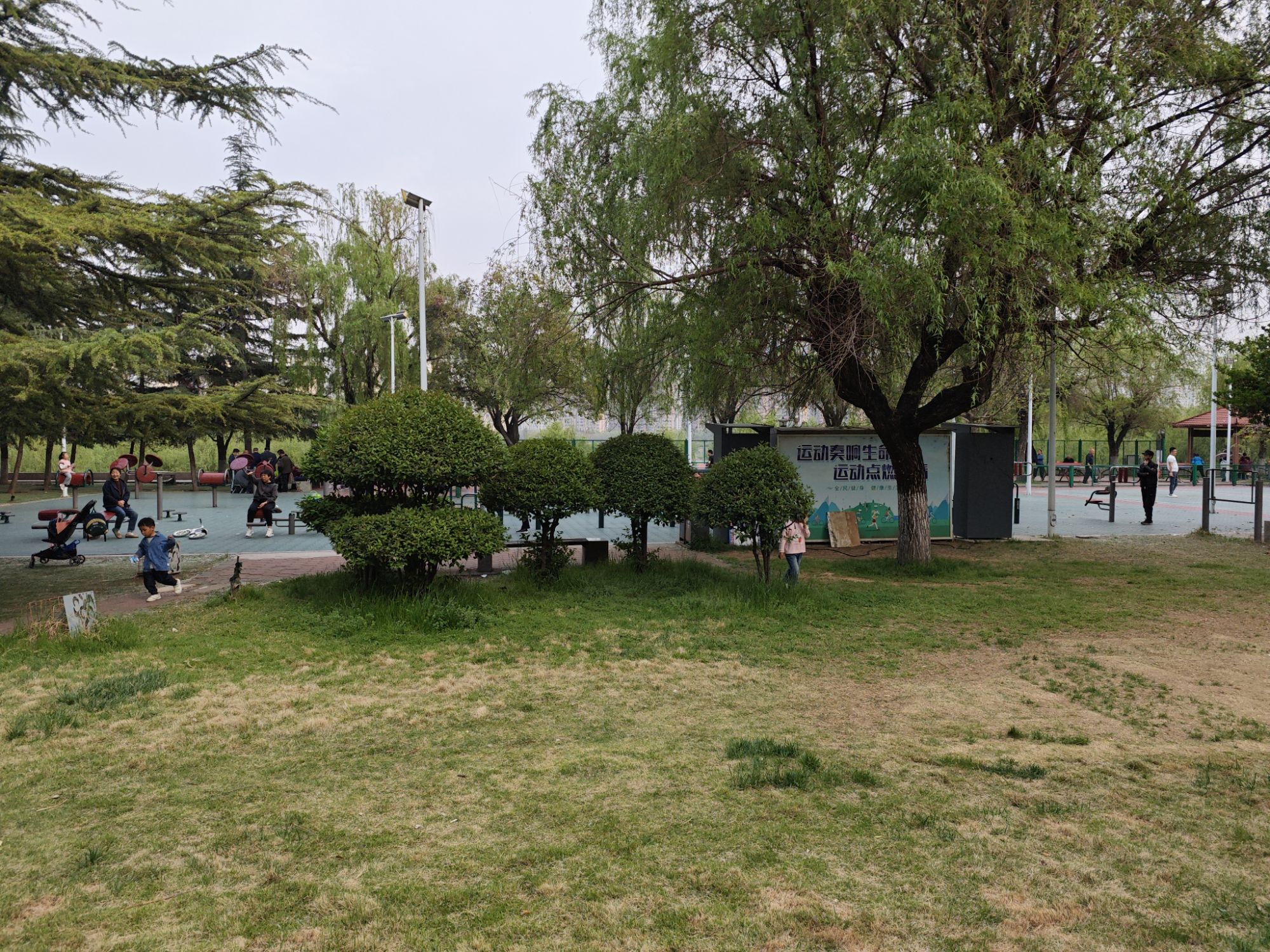 洛浦公园旅行图片 3