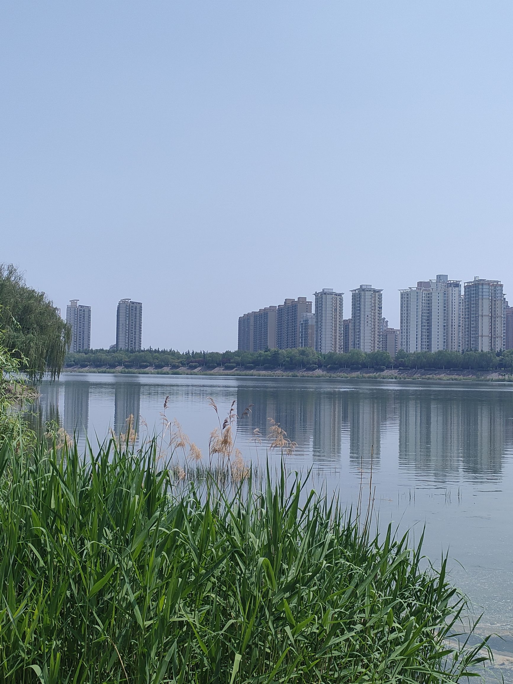洛浦公园旅行图片 3