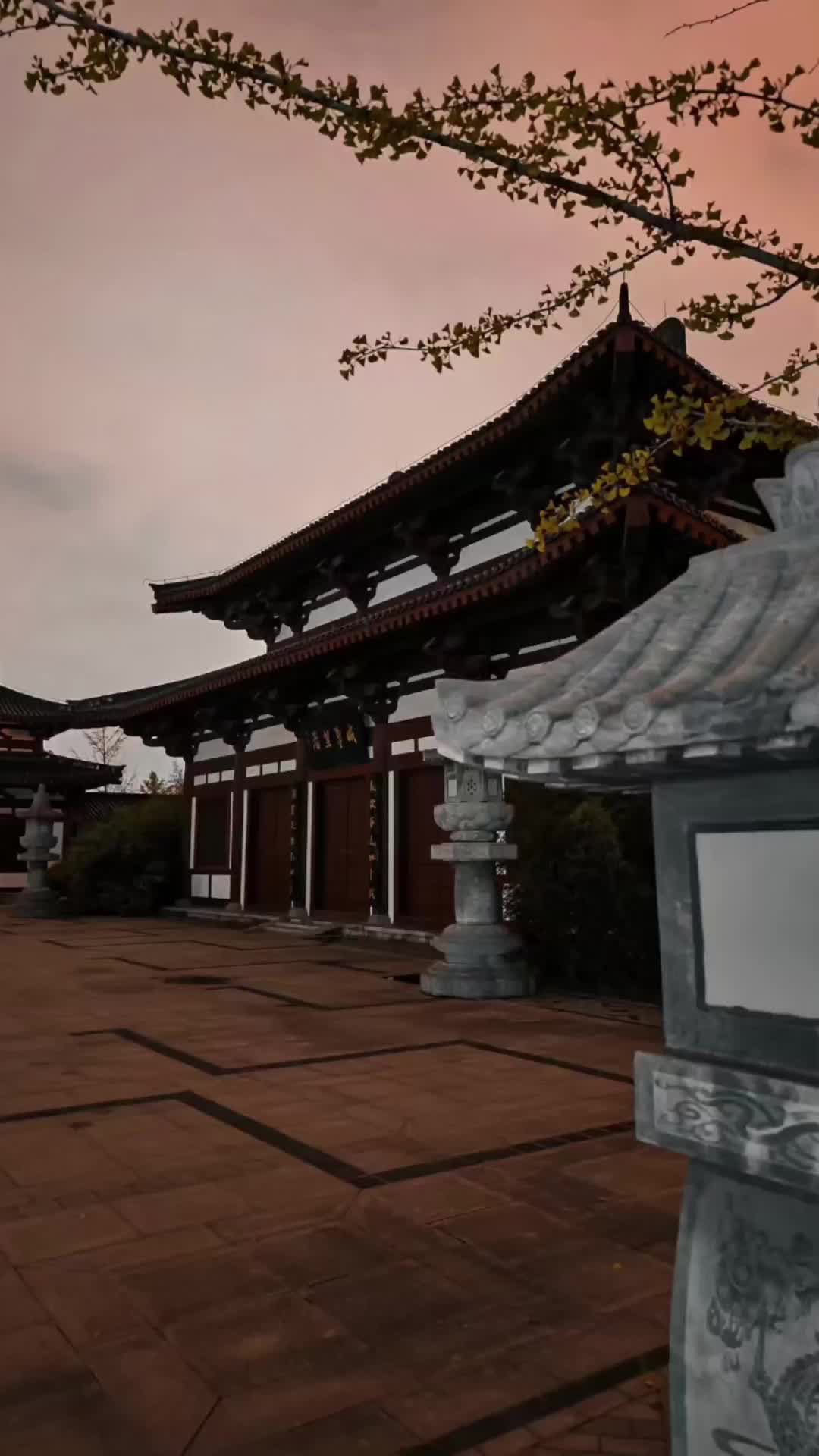 洛浦公园旅行图片 1