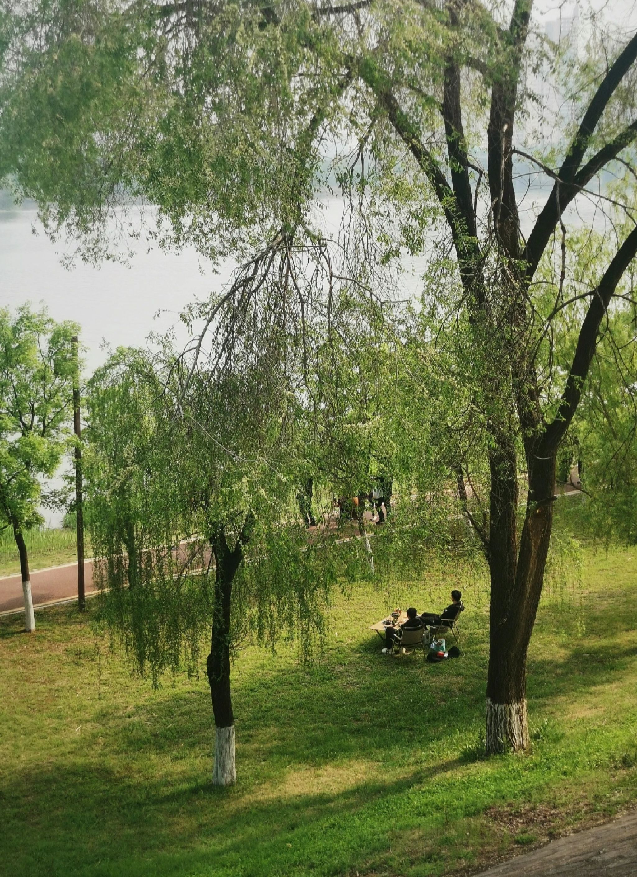 洛浦公园旅行图片 1