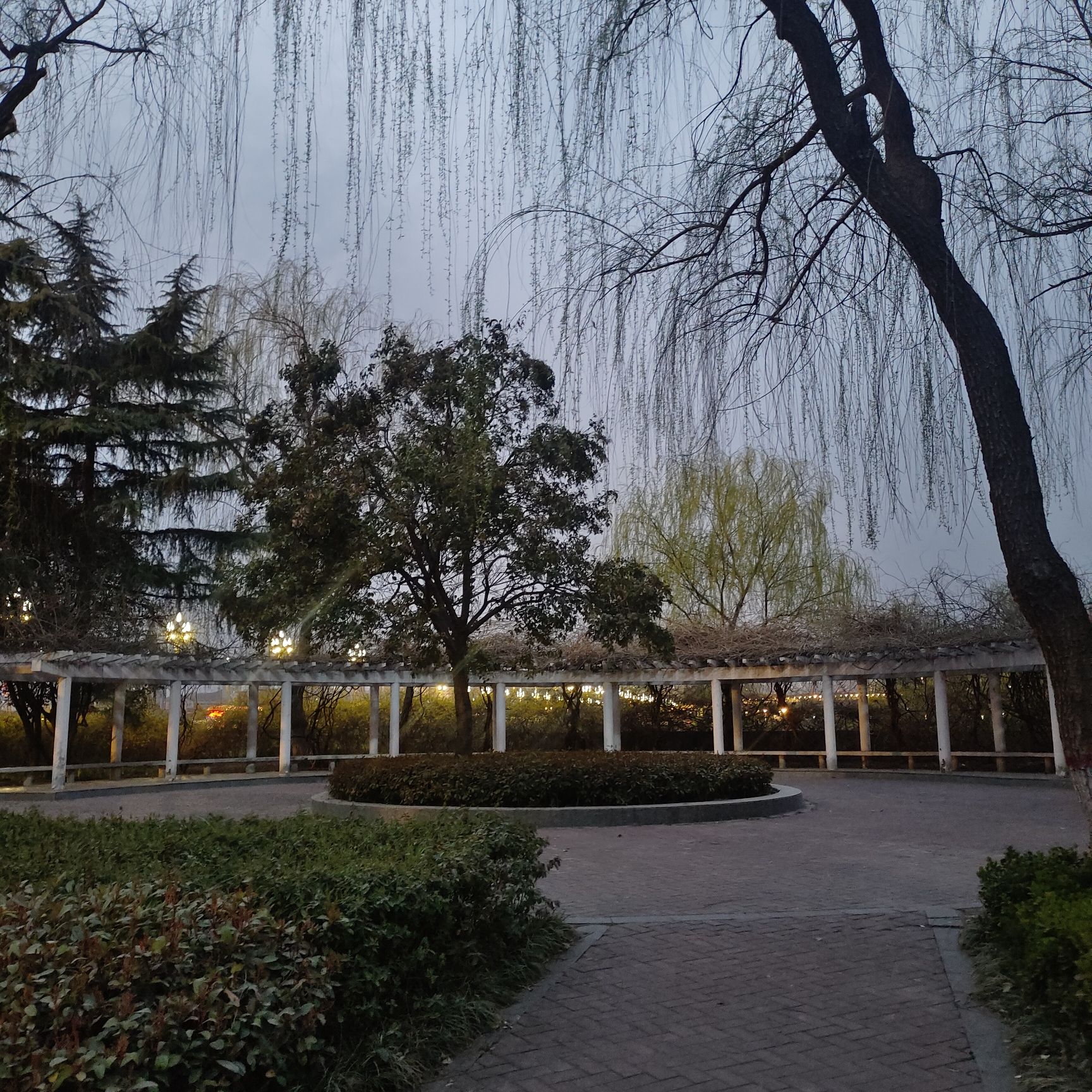 洛浦公园旅行图片 3