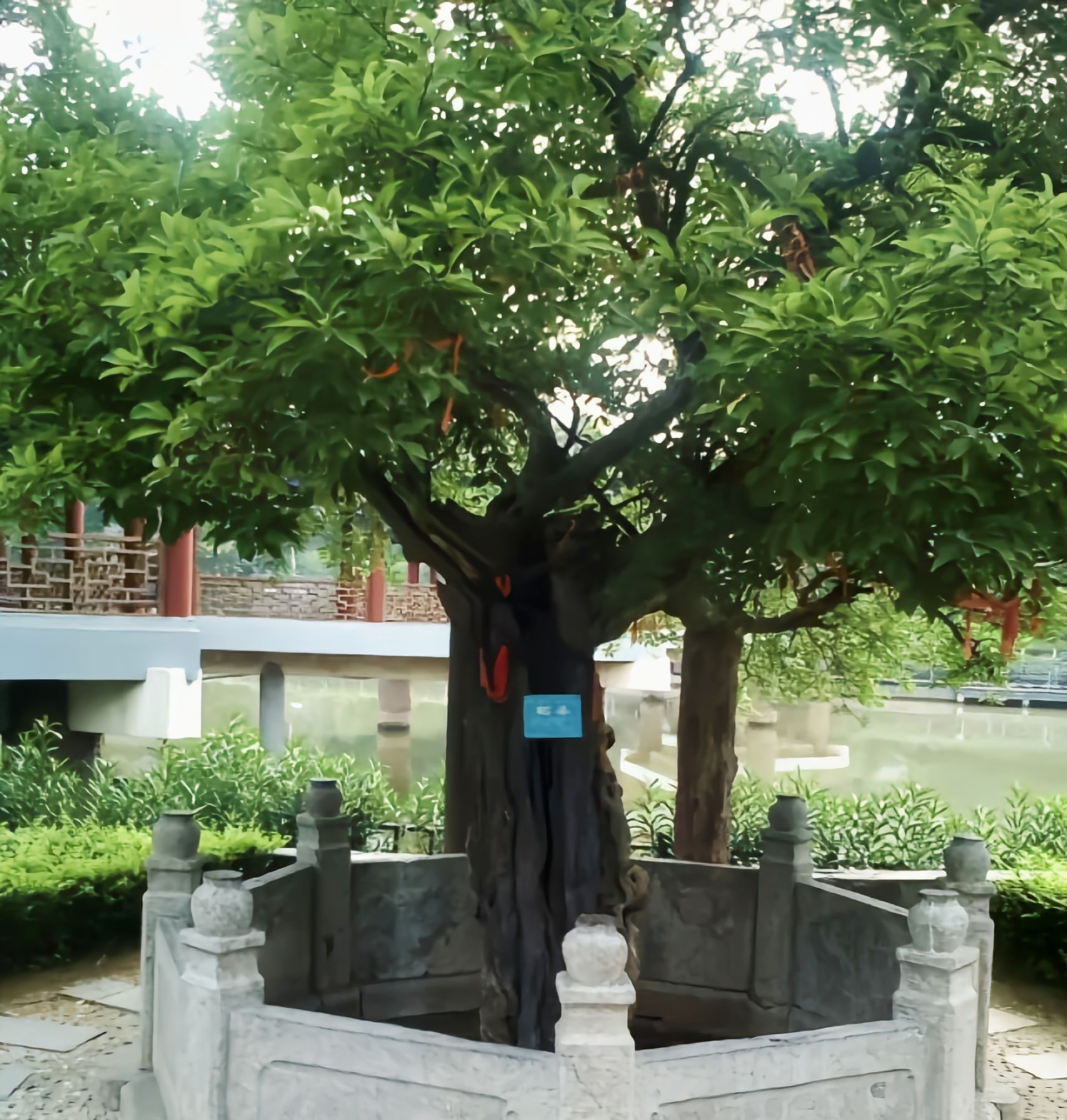 杜康仙庄旅行图片 1