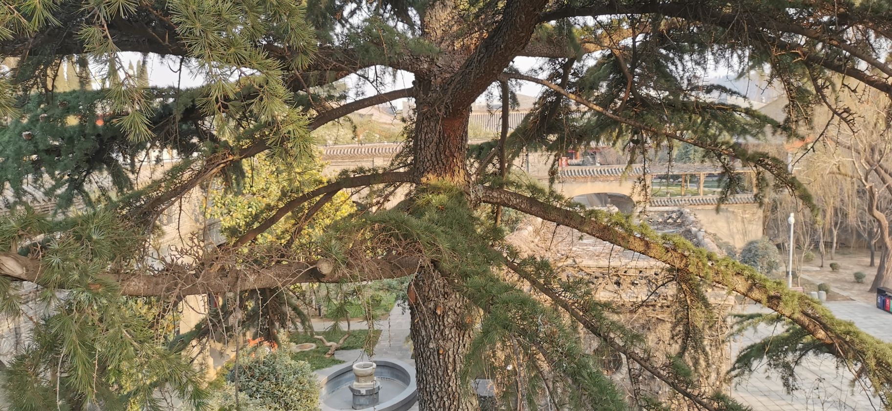 千唐志斋旅行图片 1