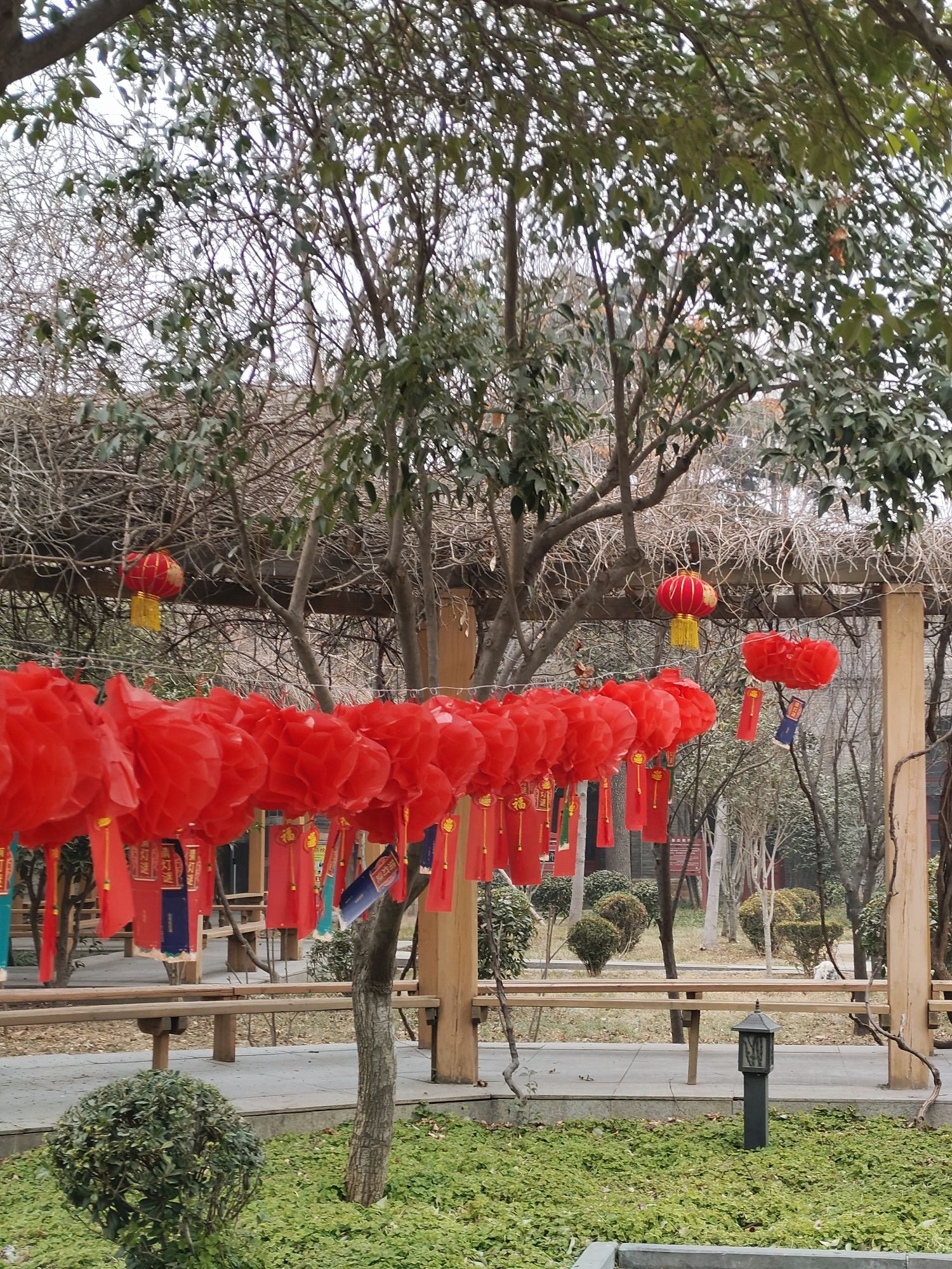 千唐志斋旅行图片 3