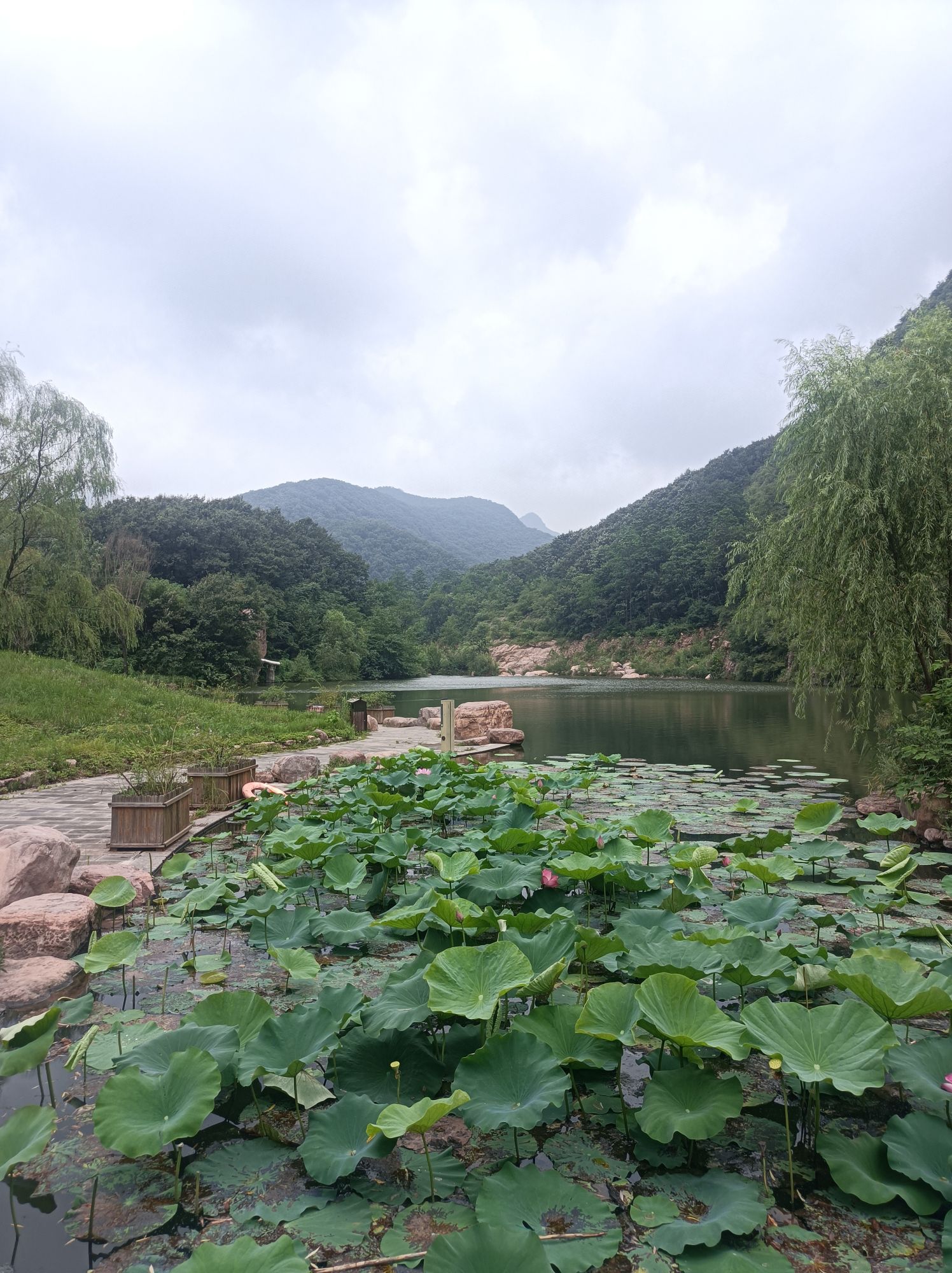 青要山风景区旅行图片 1