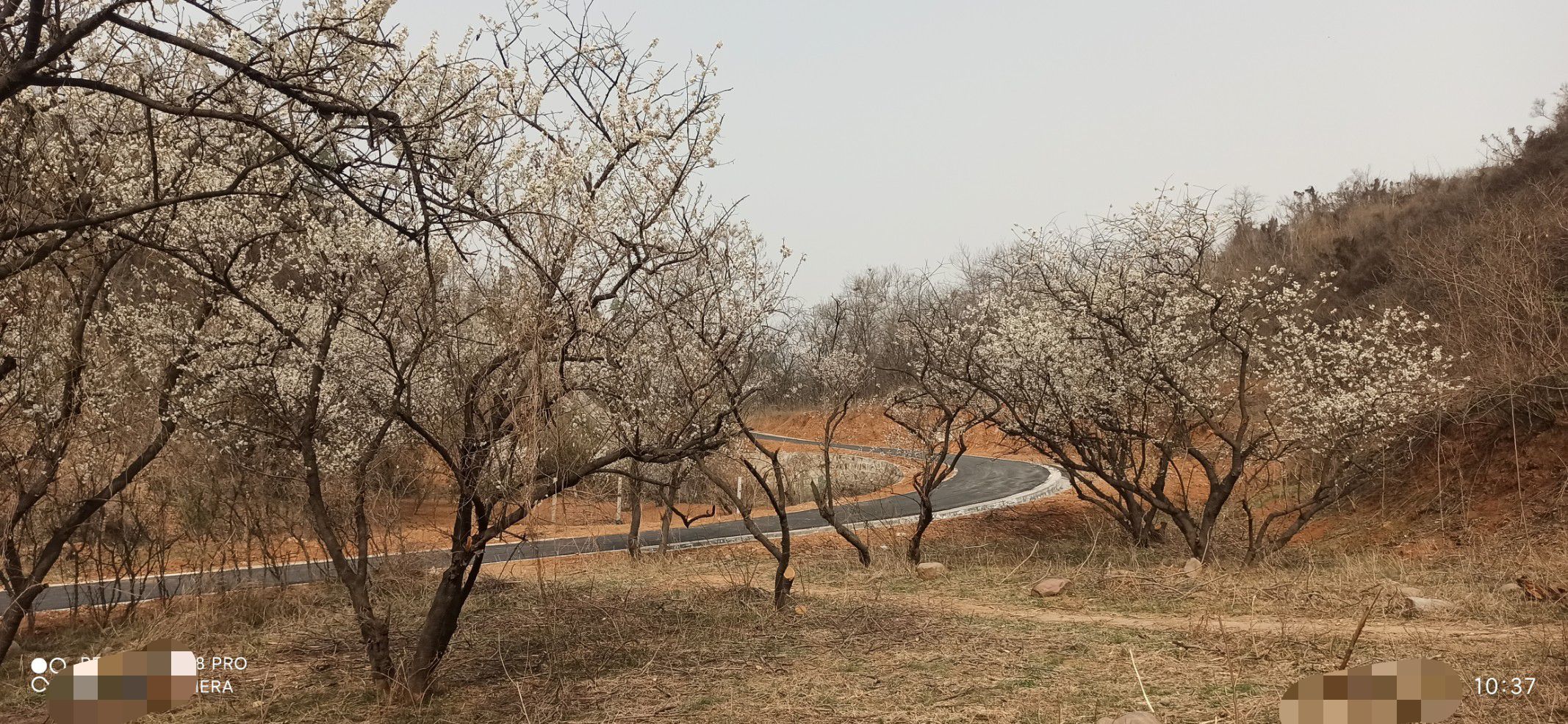 樱桃沟风景区旅行图片 2